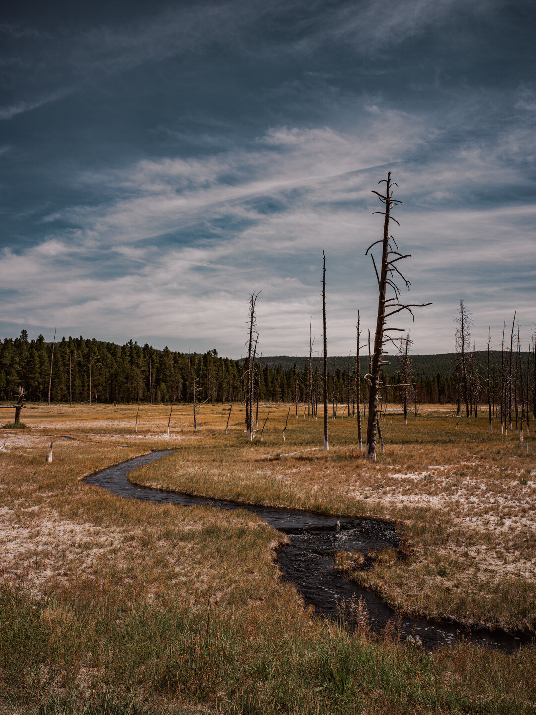 Resolute Territory - Landscape Art Prints - 22