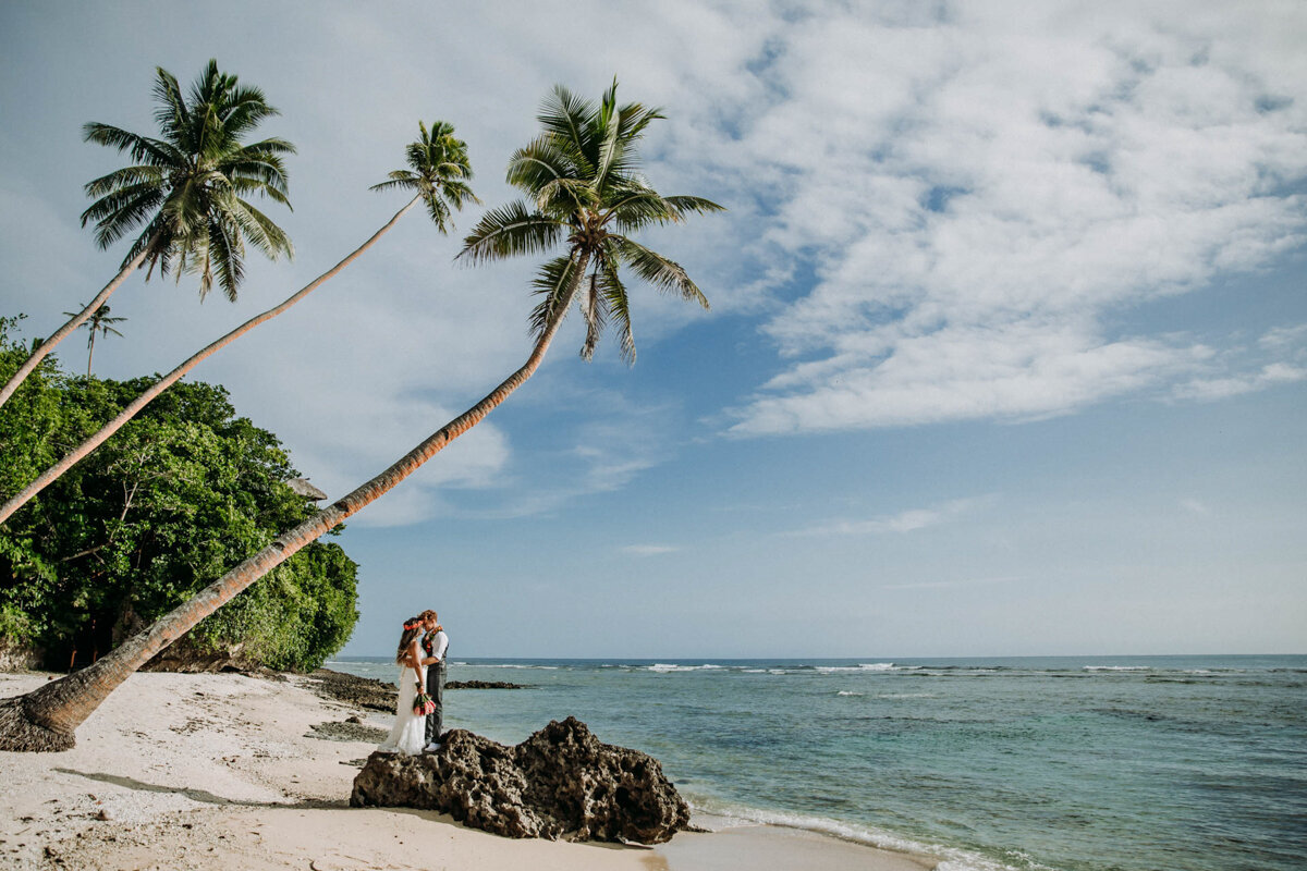 couple kissing under palm tree