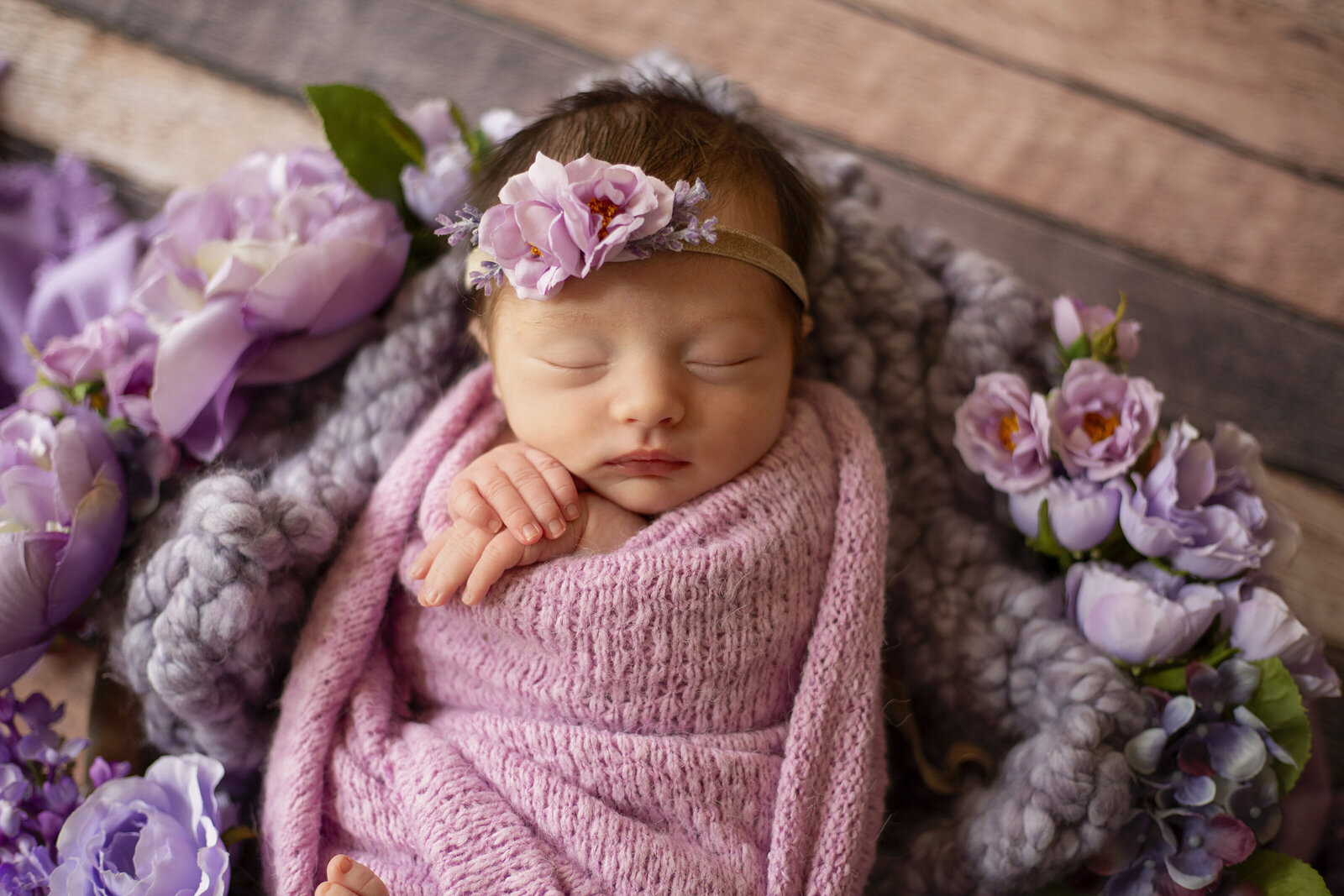 Newborn-photo-session-with-purple-flowers