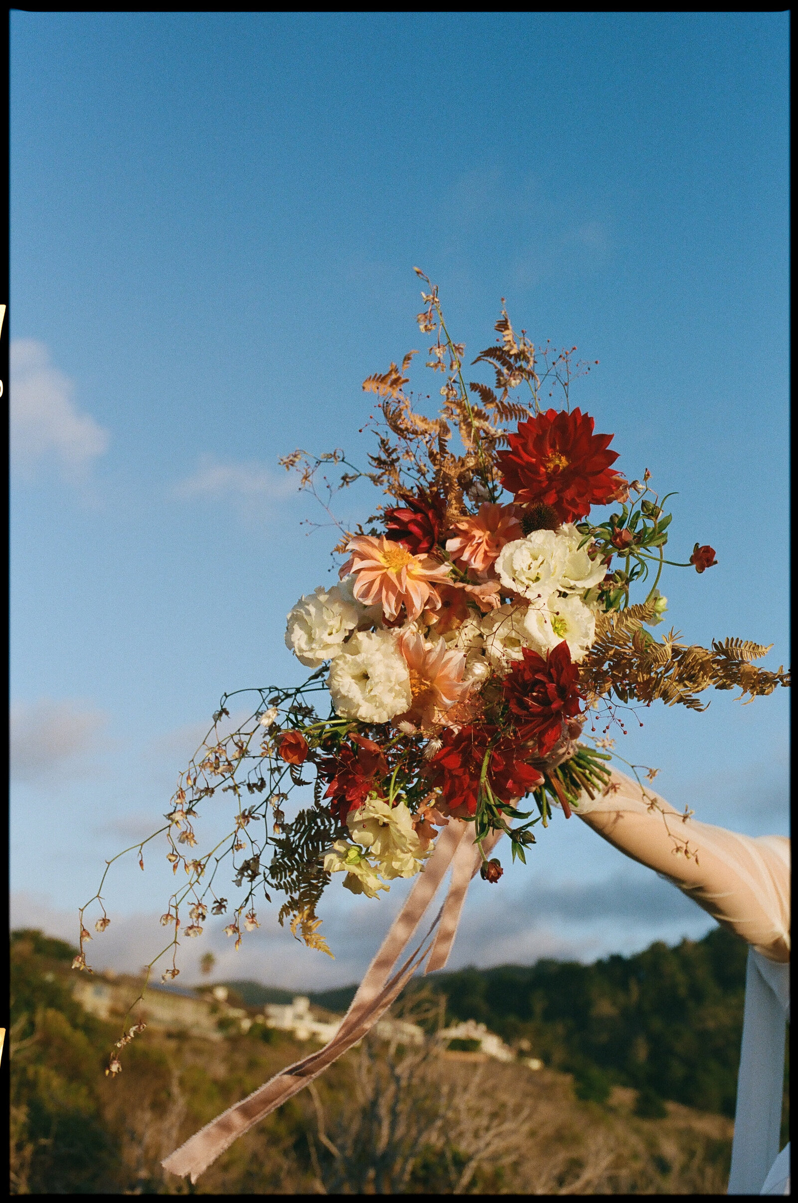 film_mgphoto-33