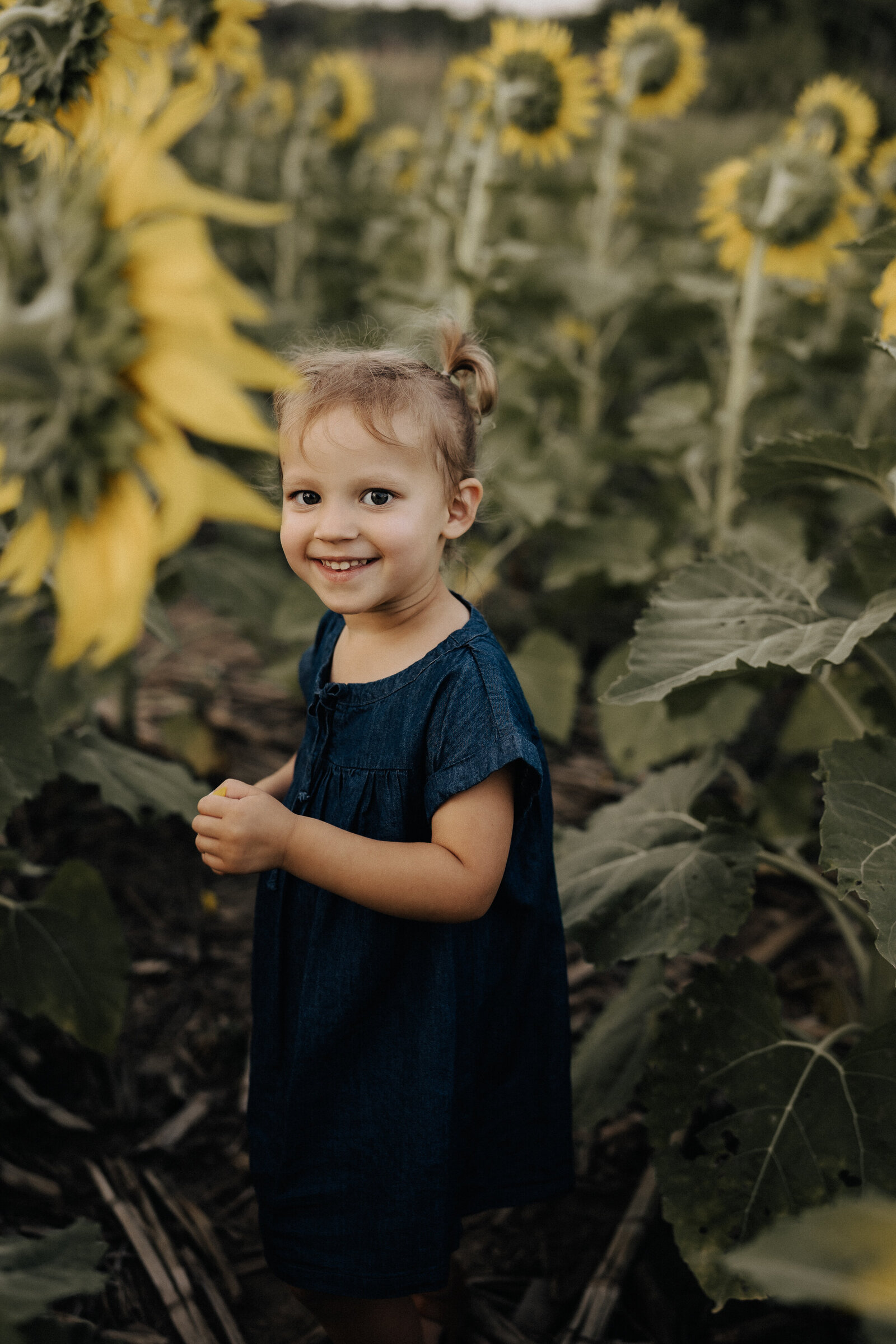 FergusonFamily-Sunflowers-11