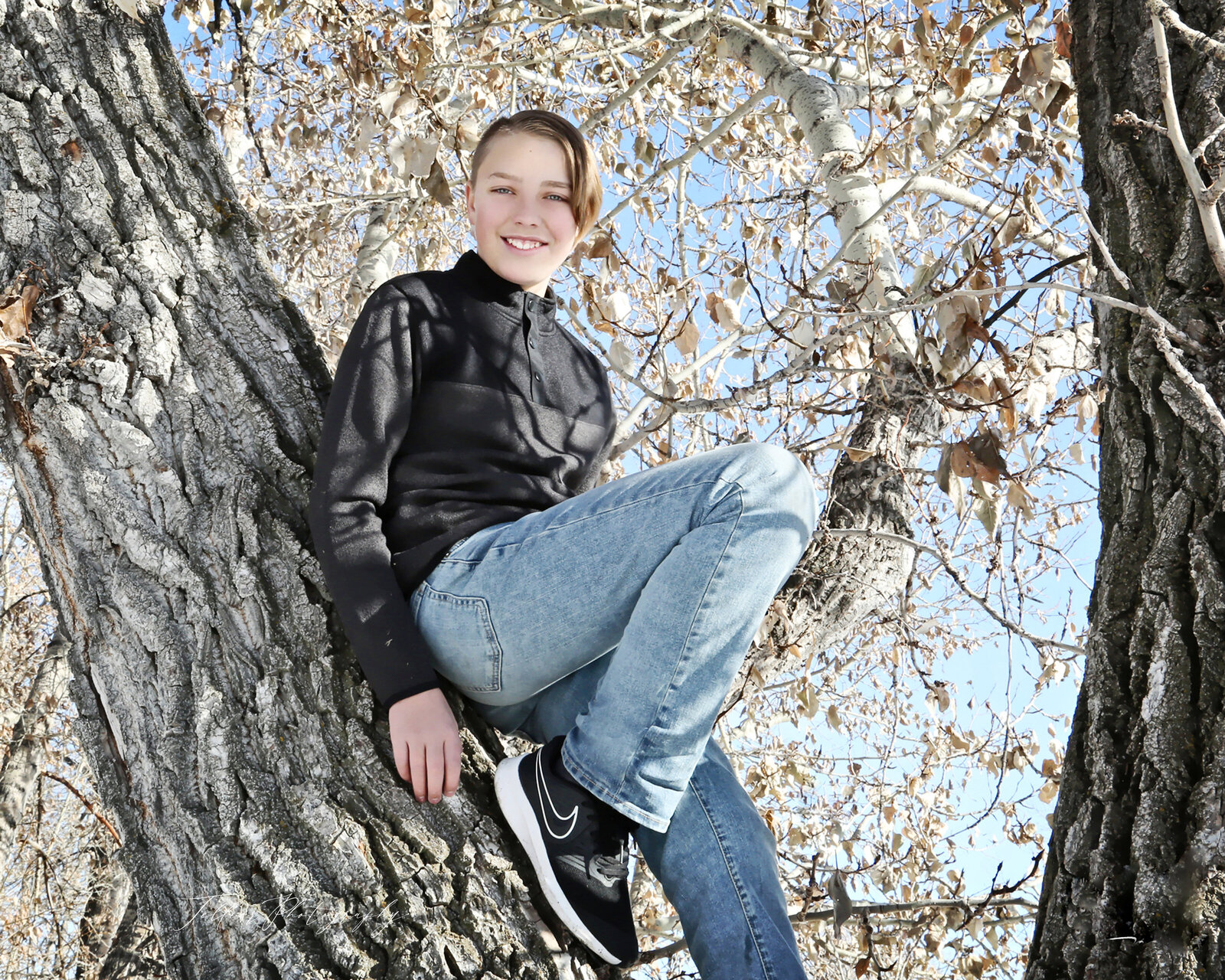 boy in tree