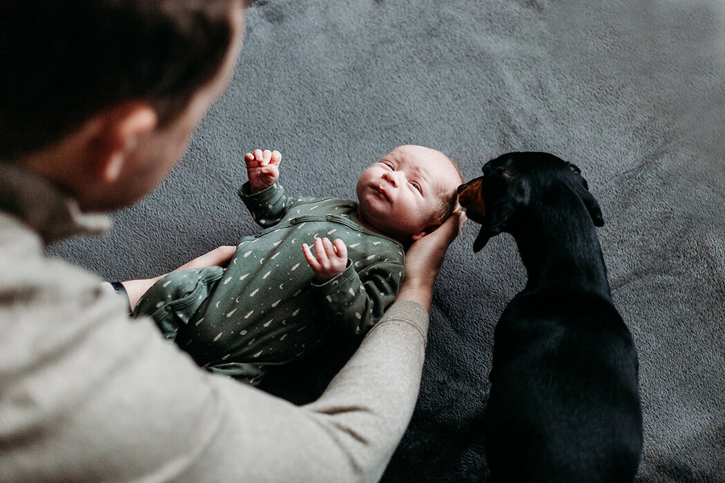 babymetteckel, babyfotograafbrabant, newbornfotograafbrabant, zundert, bavel, ulvenhout, bosschenhoofd, rijsbergen, breda, halderberge, bergenopzoom, schijf