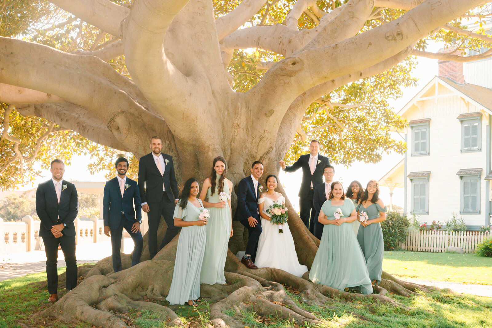 A bridal party stands underneath a sunny tree