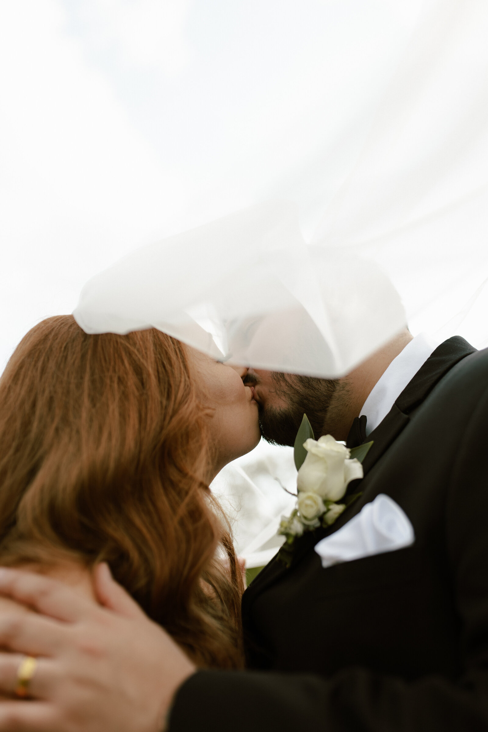 Stunning veil bridal portraits at Charleville Brewery & Winery