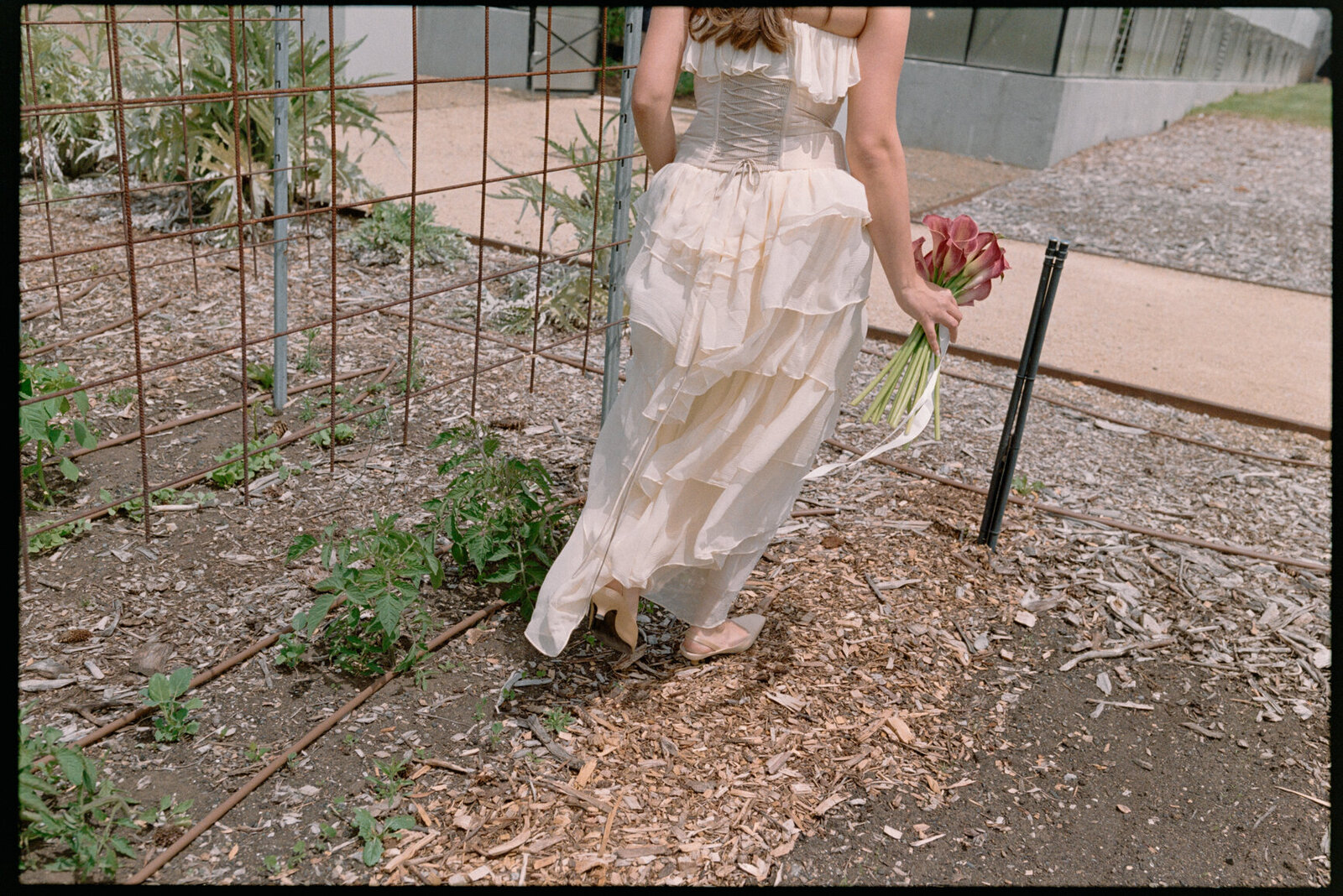 Australia-Film-Wedding-Photographer_Zara_Staples-112