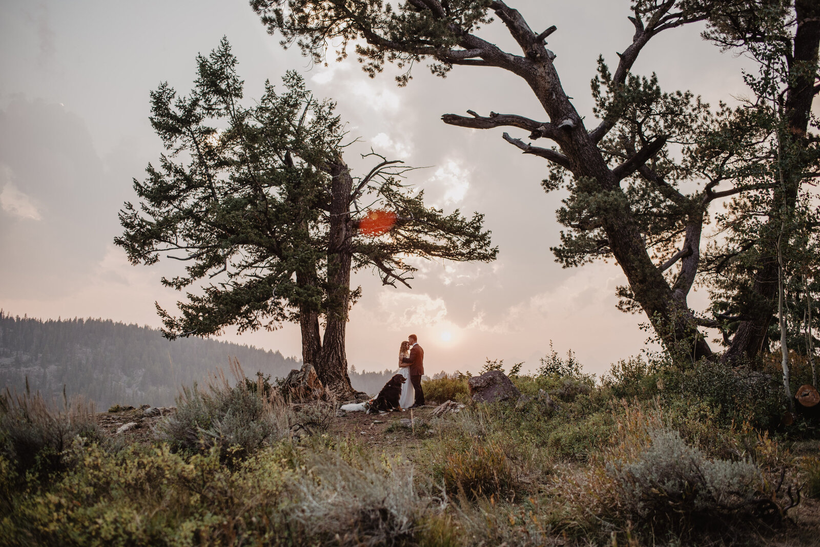 sunset wedding at the wedding tree in the Grand Tetons as the bride and groom hold each other and look out at the hills of lush forests while the sun goes down