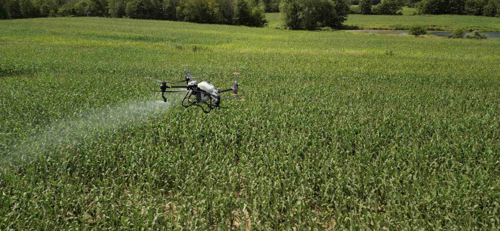 Raven 6 Rising servicing corn farmers with aerial applications.