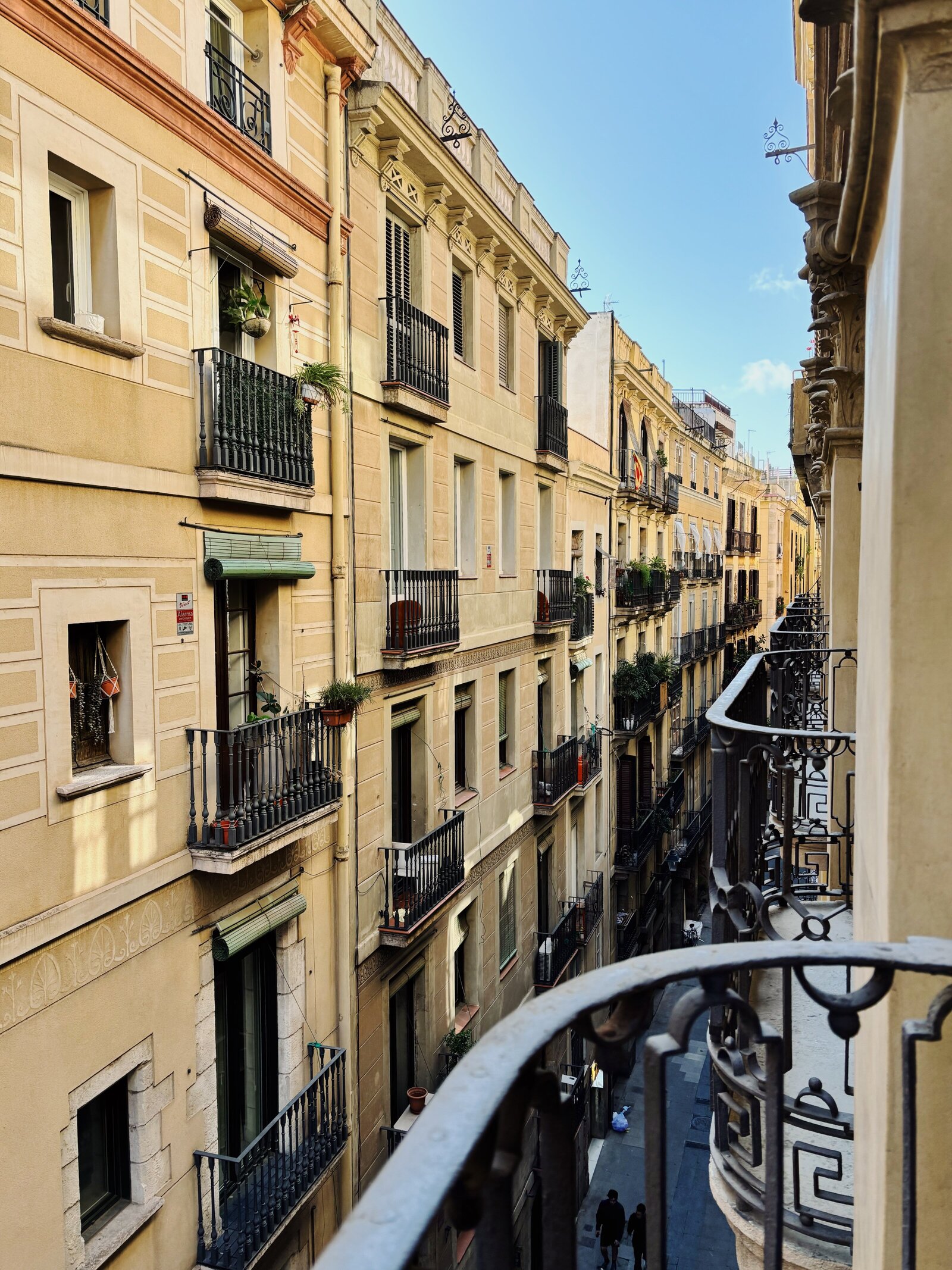 2D801BEA-24CE-474A-BCA2-B7428B6F7FF4