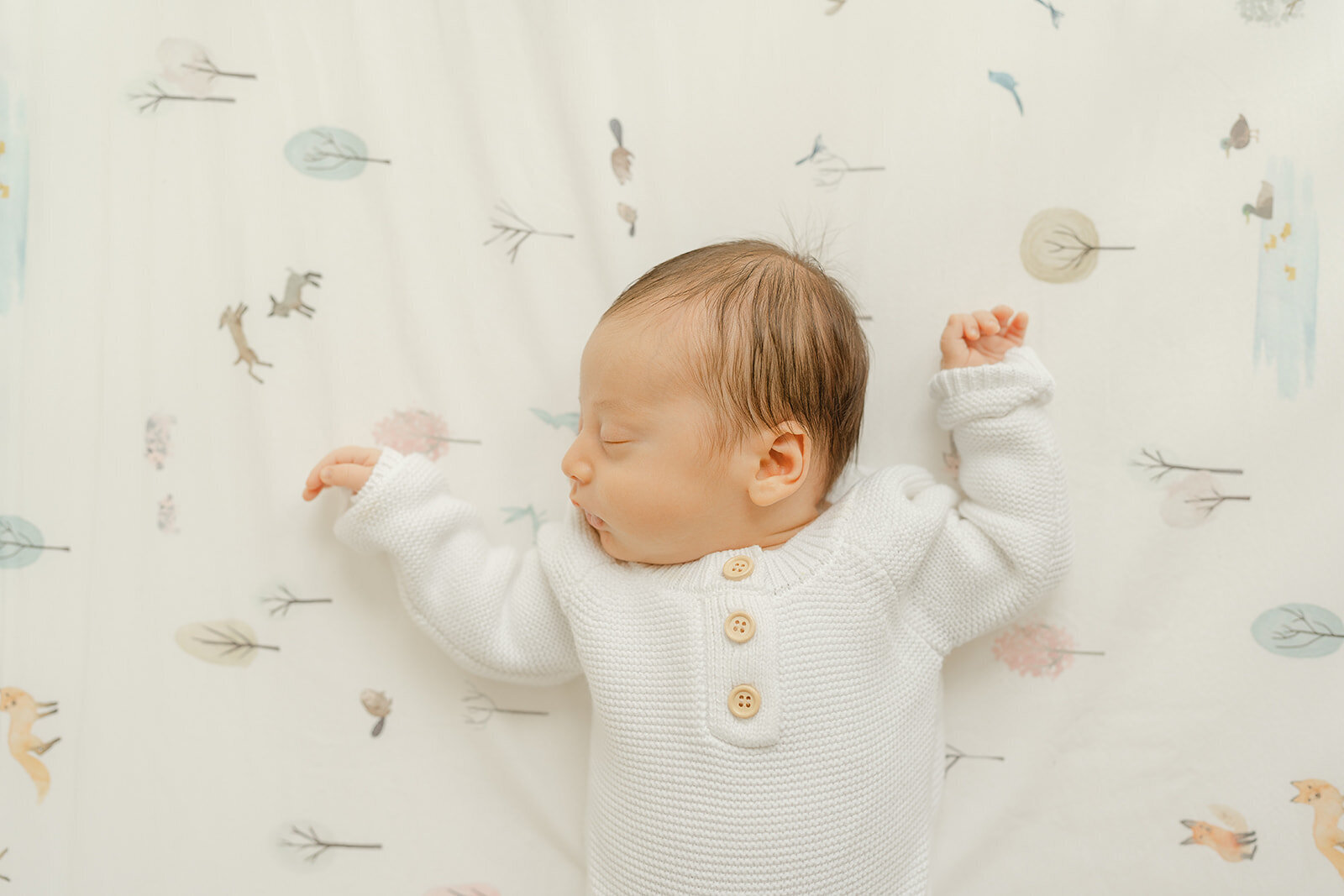 baby in crib during Haymarket, Virginia newborn photo