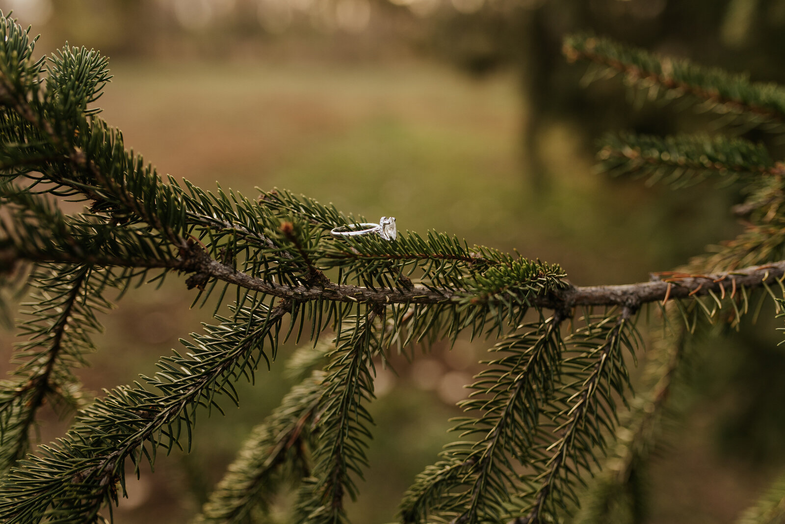 Iowa Wedding Photography Cedar Rapids Engagenemt Photographer-1-1 (22)