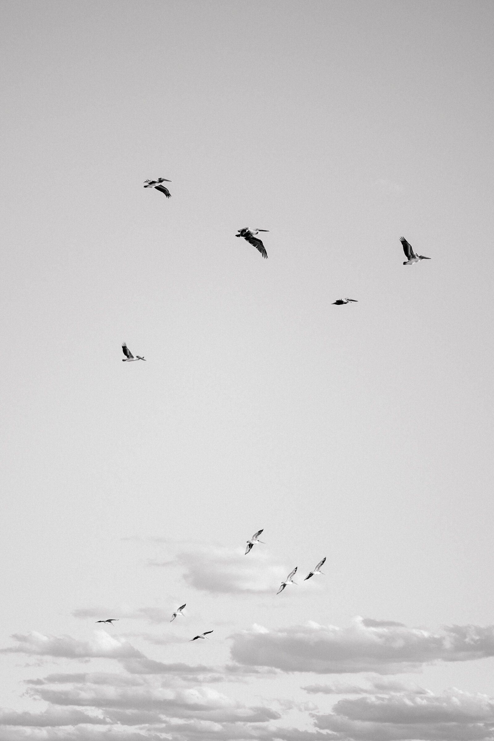 Shayla&Tim_Engagement145