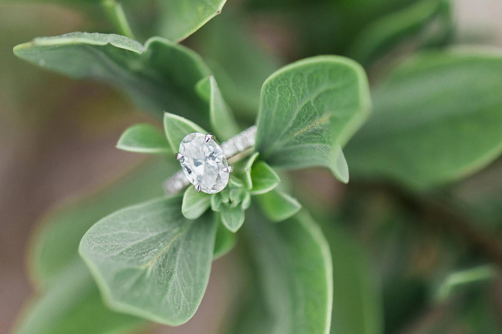 Key Largo Engagement Photography by Palm Beach Photography, Inc.