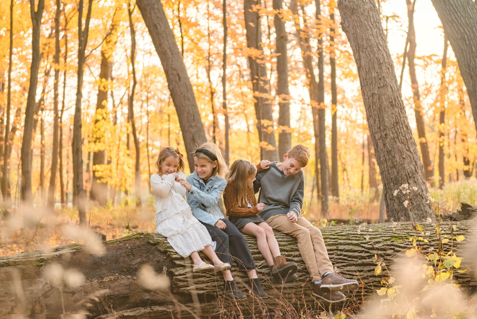 Four young siblings tickling each other while seated on a log for their Chicago fall family photos