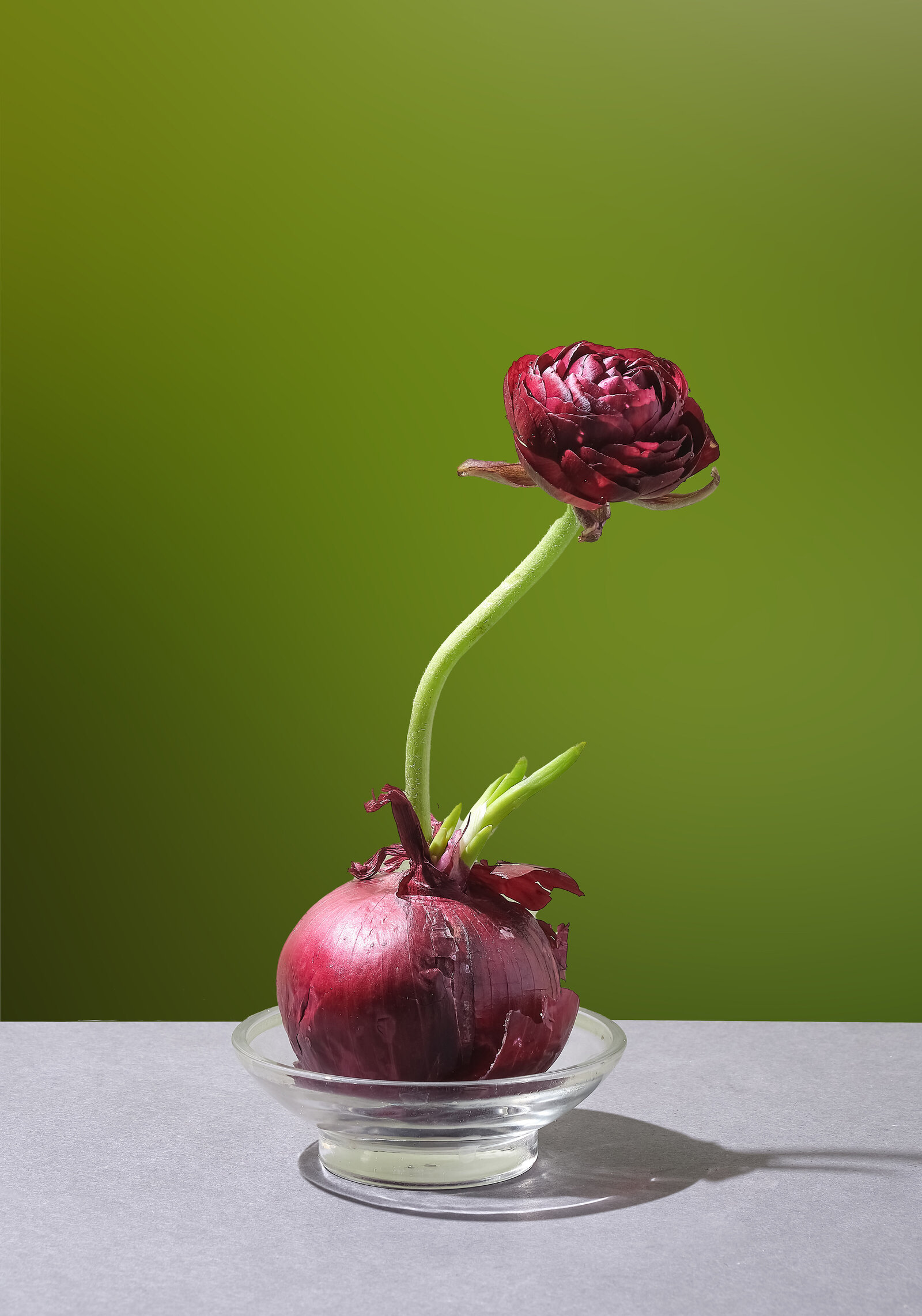 AdobeStock_1433602673