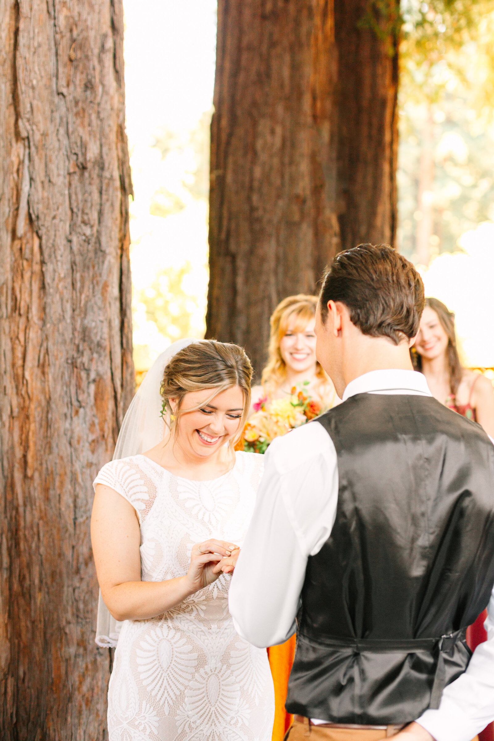 Redwoods Wedding 22