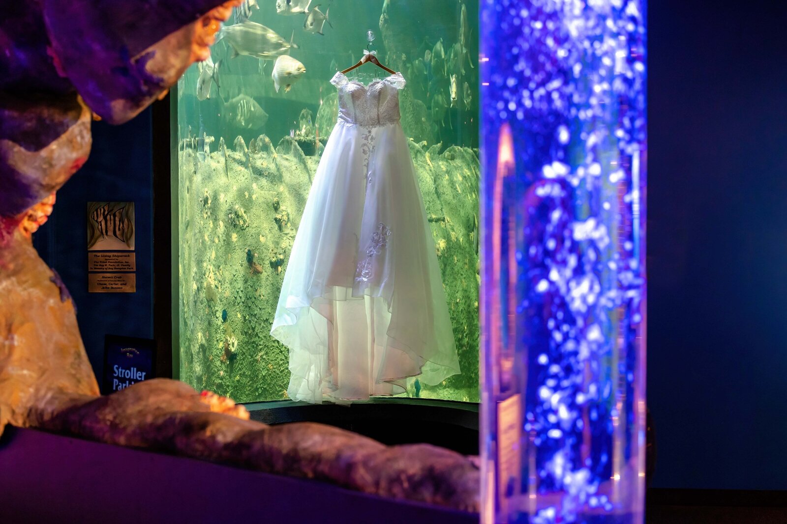 A lace wedding dress is displayed inside an illuminated aquarium tank filled with fish, captured during a Pine Knoll Shores, NC wedding, showcasing a unique and creative coastal venue.
