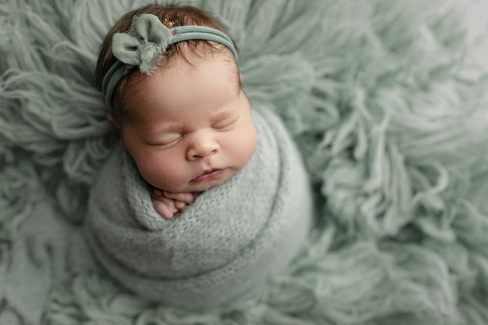 jasper newborn photographer