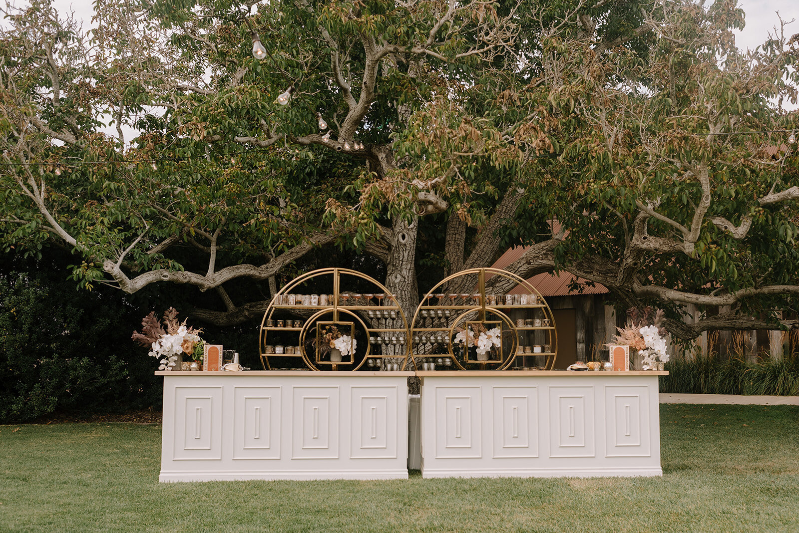 BrianaNolan_Wedding_LS_1-1330