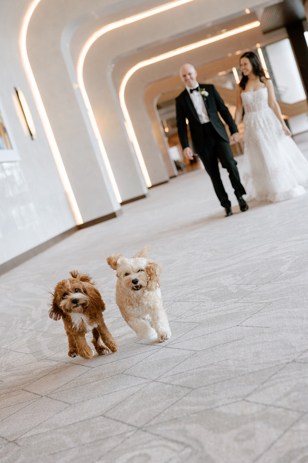 TheWainwrights_brideandgroom-17