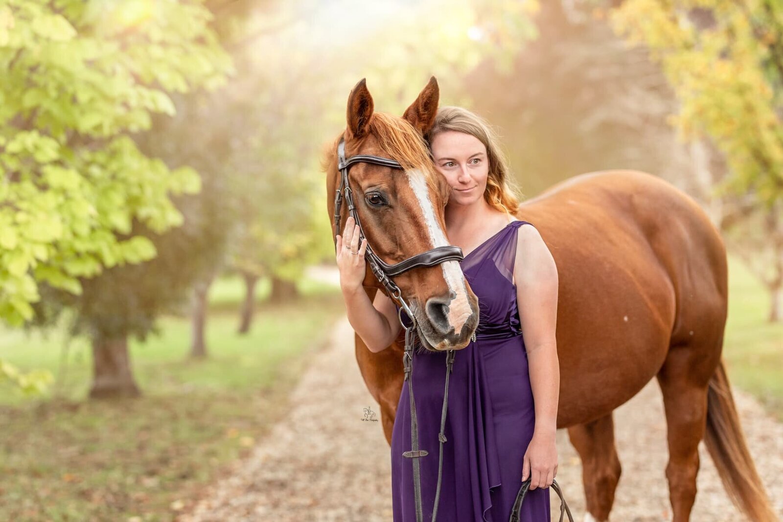 (16)Horse and girl formal dress portraits