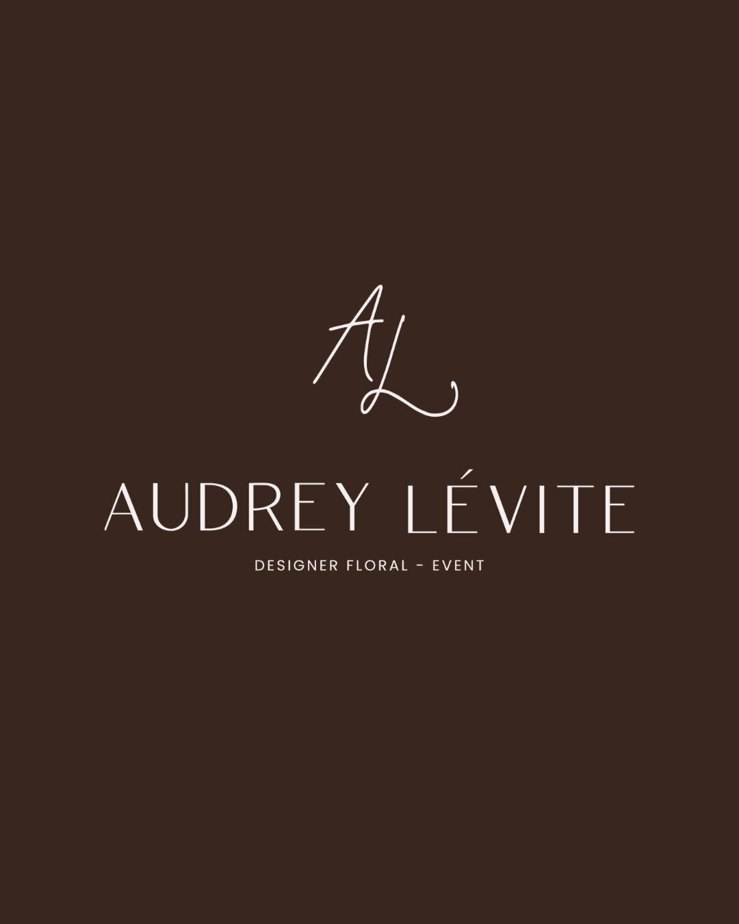 conception-identite-de-marque-site-web-designer-levite16