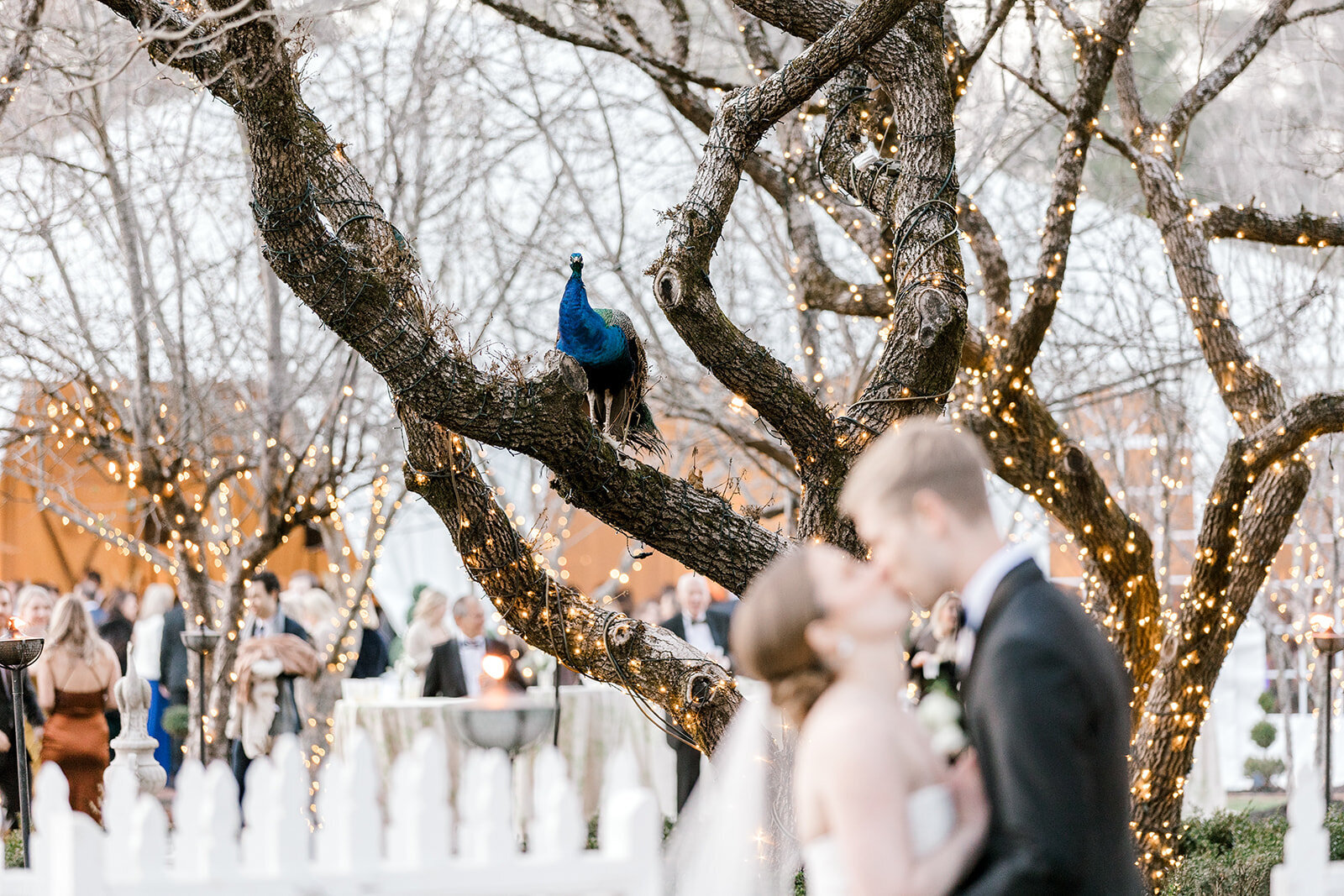 Forever Love Chicago Wedding Photographer-122