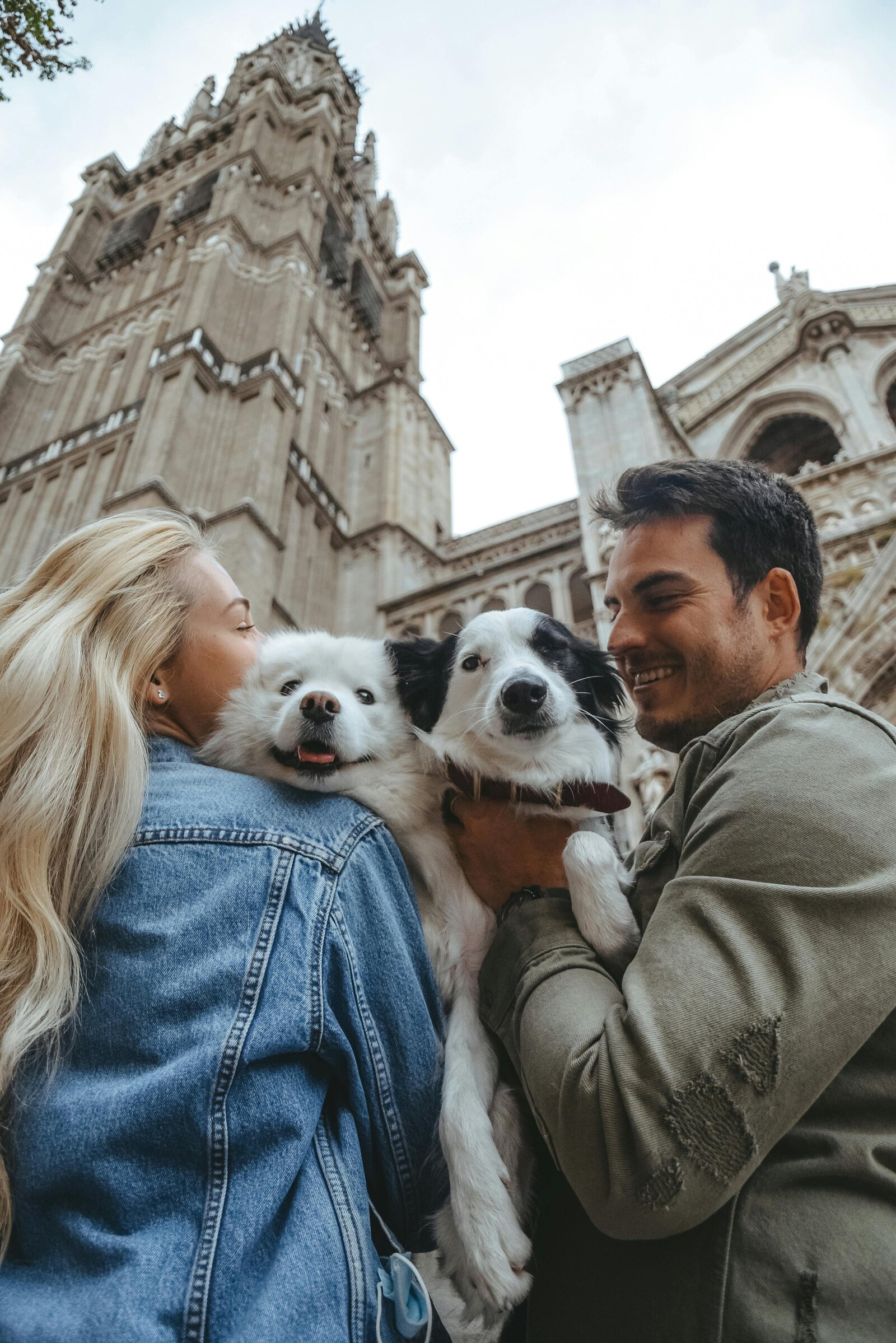 Pets Travel (3)