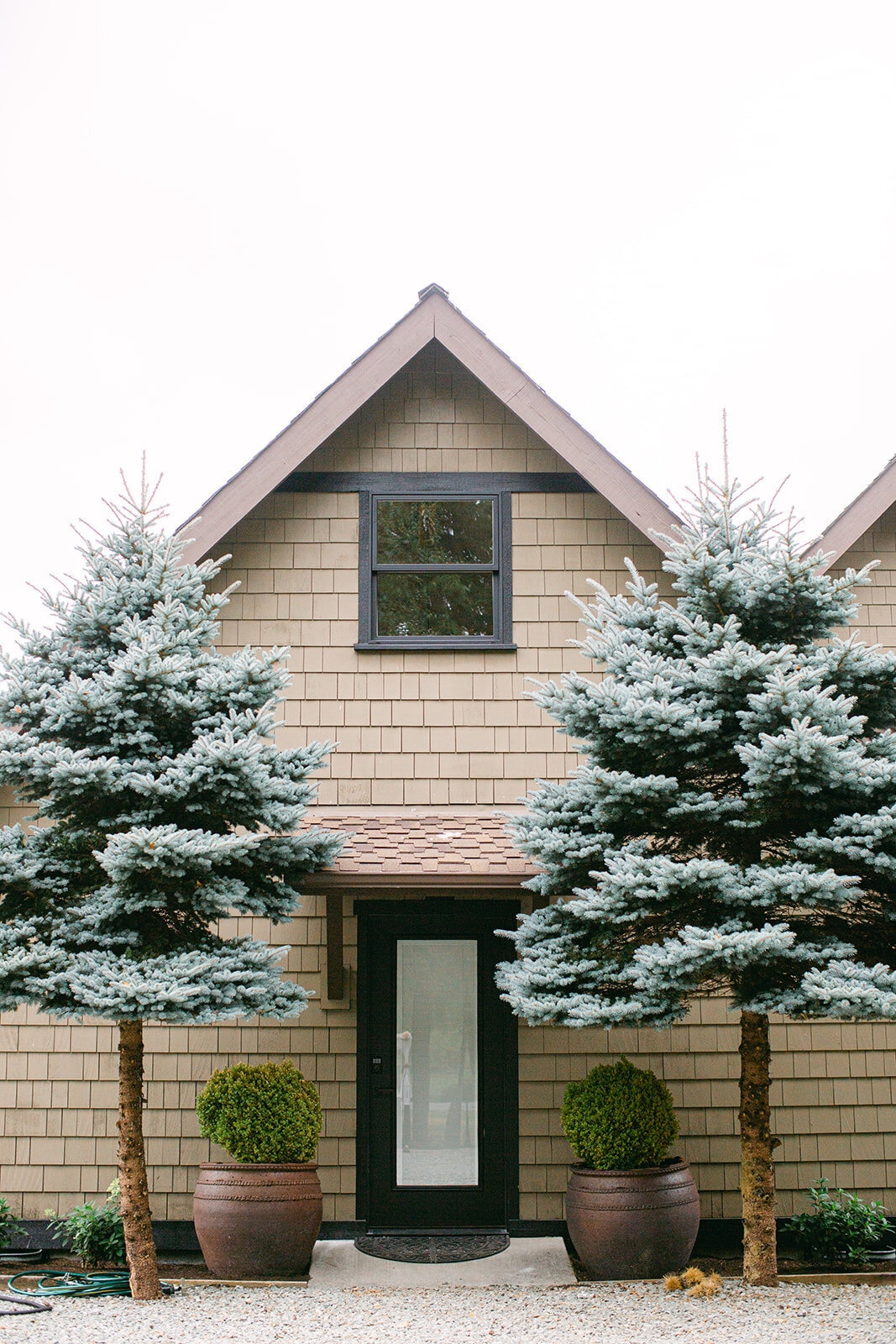 bo-hill-backyard-weddingbrit-chad-1