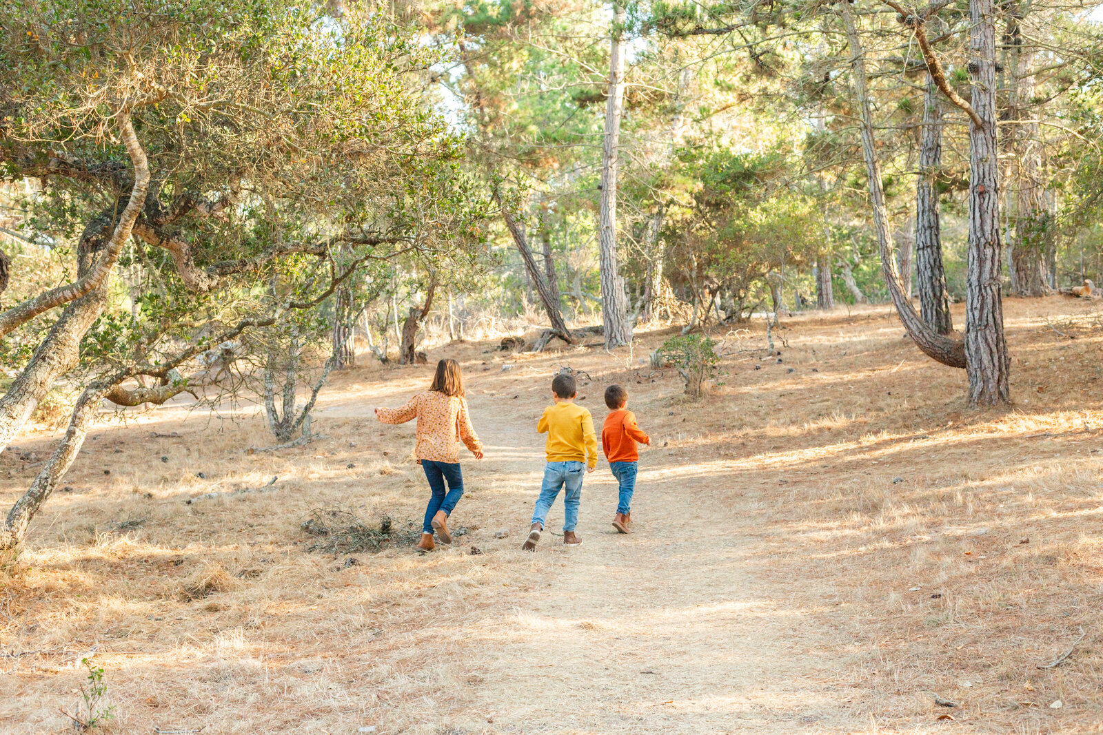 Siblings pose for family photos in Santa Cruz, Ca.