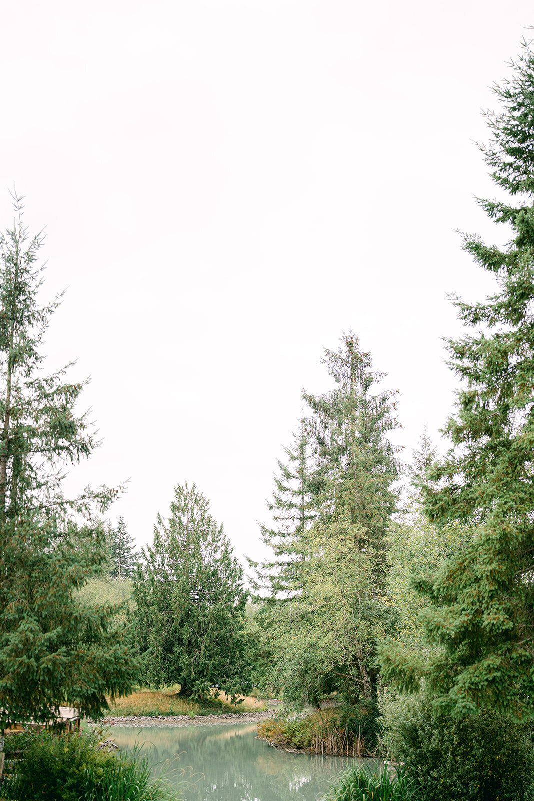 bo-hill-backyard-weddingbrit-chad-715