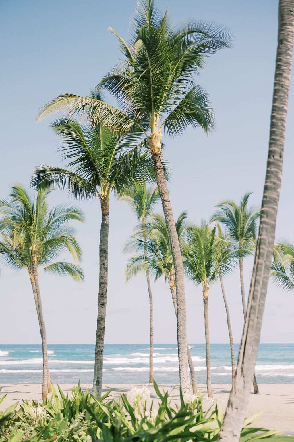 Grace_Trevor_Wedding_Hawaii-1710