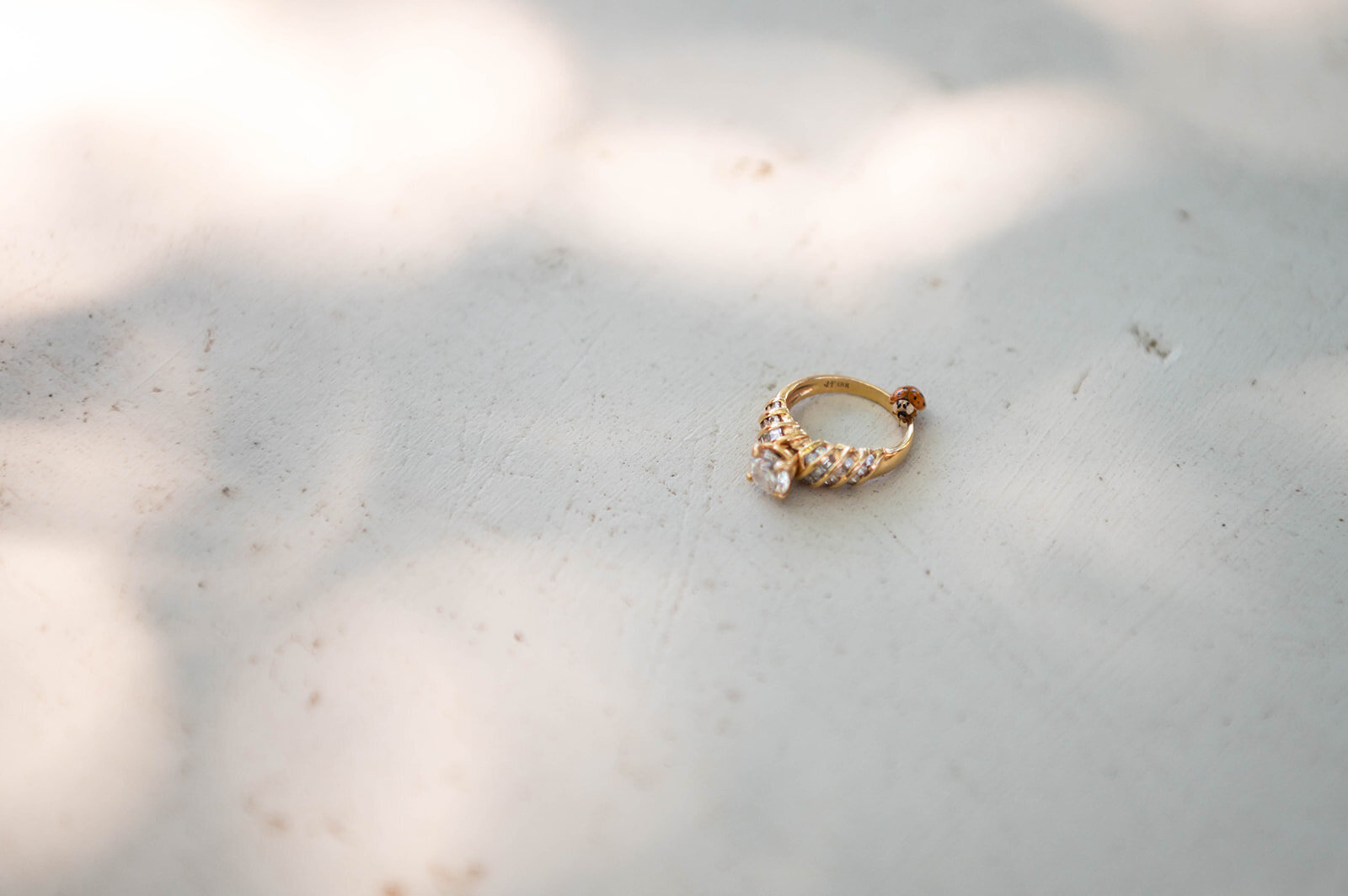 kam-chrisandsarah-proposal-50425-53_websize