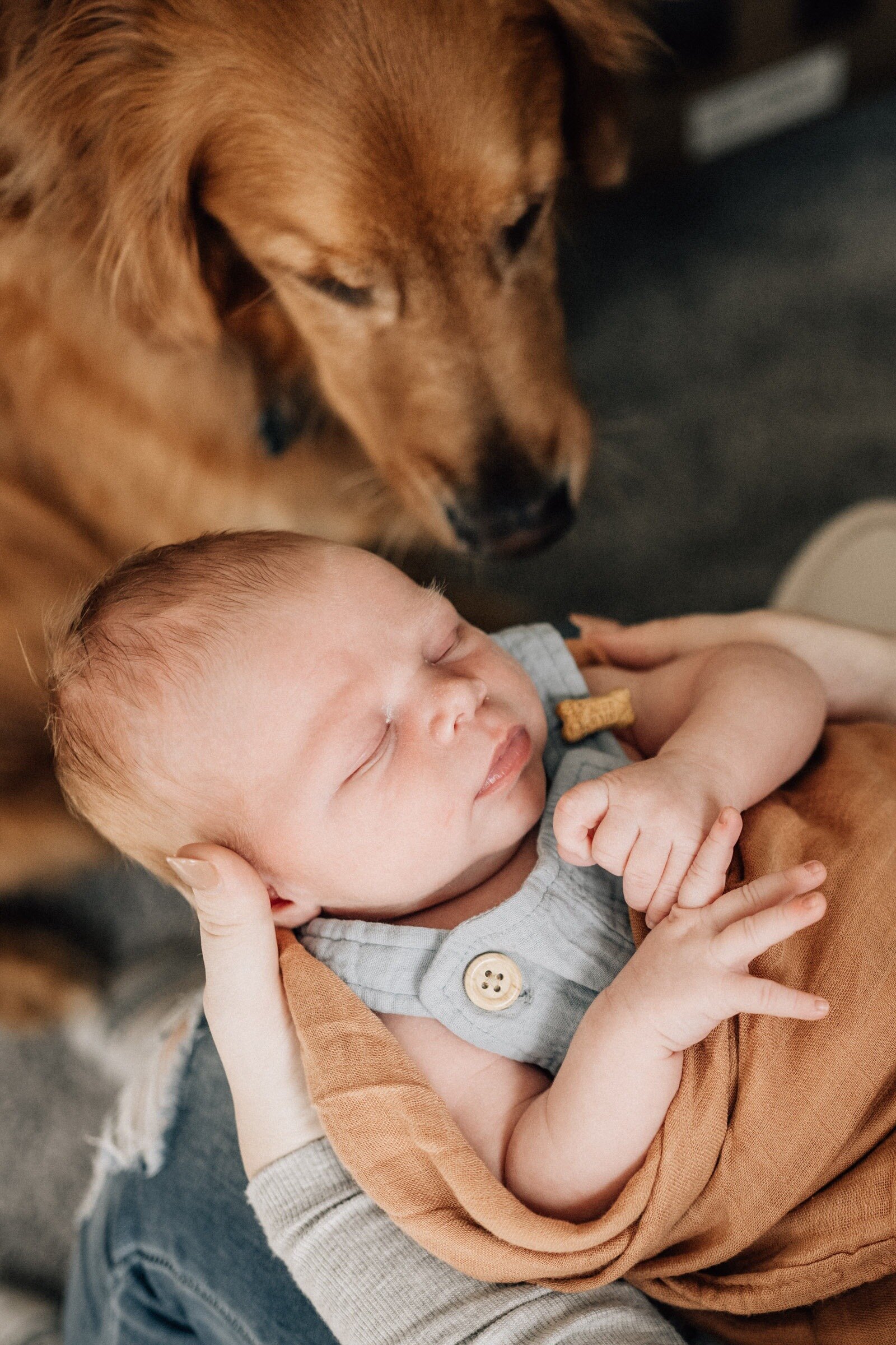 newborn-photography-albany-ny-17