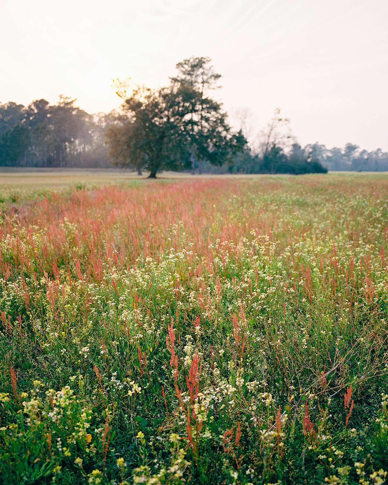 Stroman-Christian-Film-23_websize