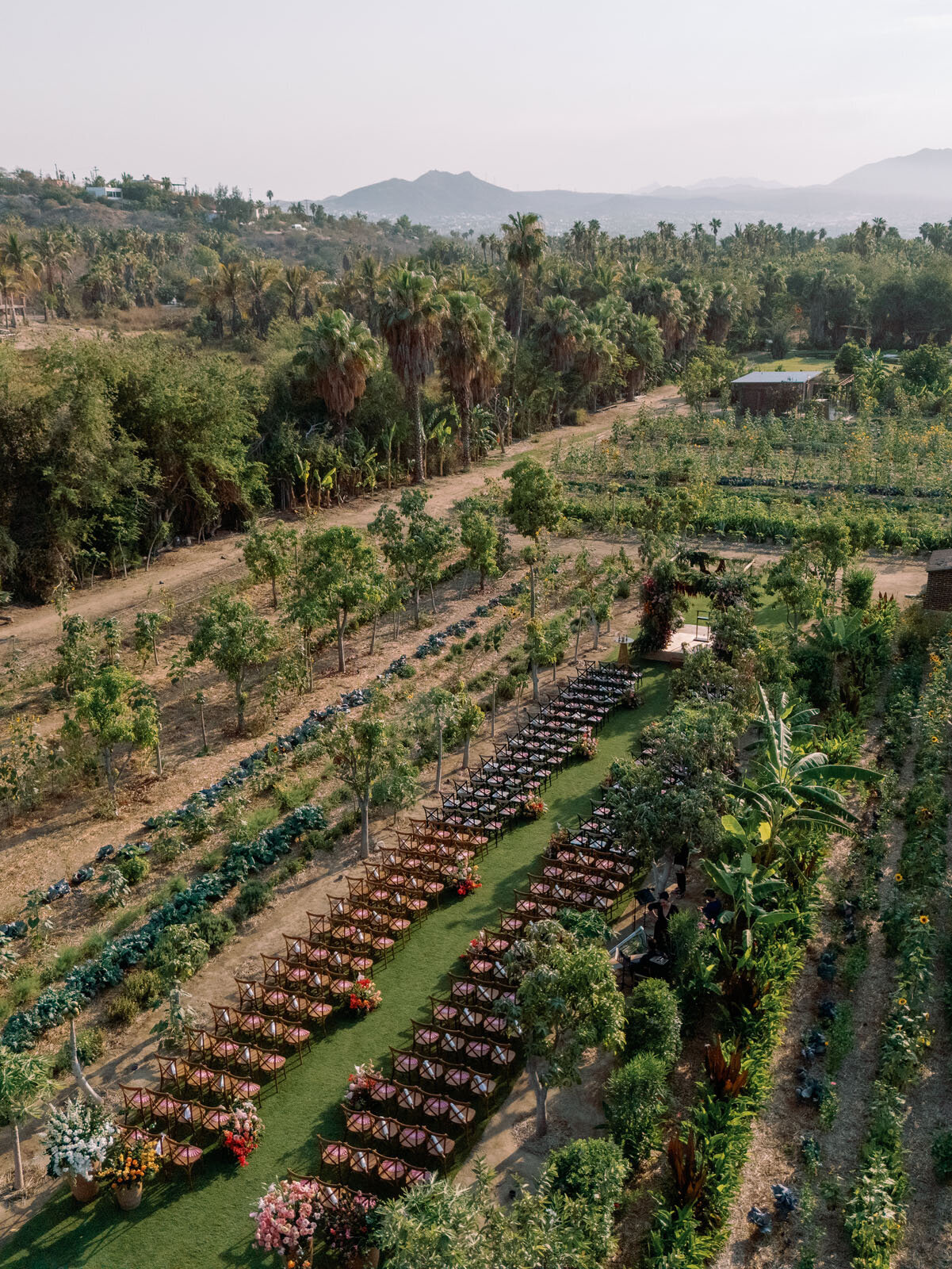 Dylan & Maddie - Wedding - 0362