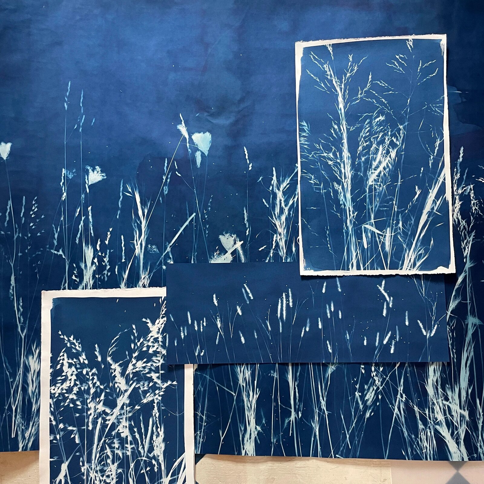 Atwater Designs | Cyanotype Botanical Art