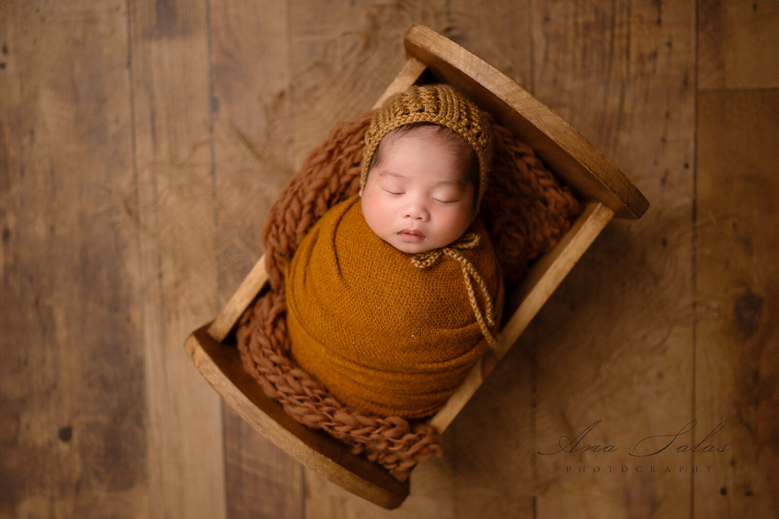 Newborn Photographer Edmonton