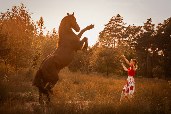 Een fotoshoot om de band tussen jou en je paard vast te leggen