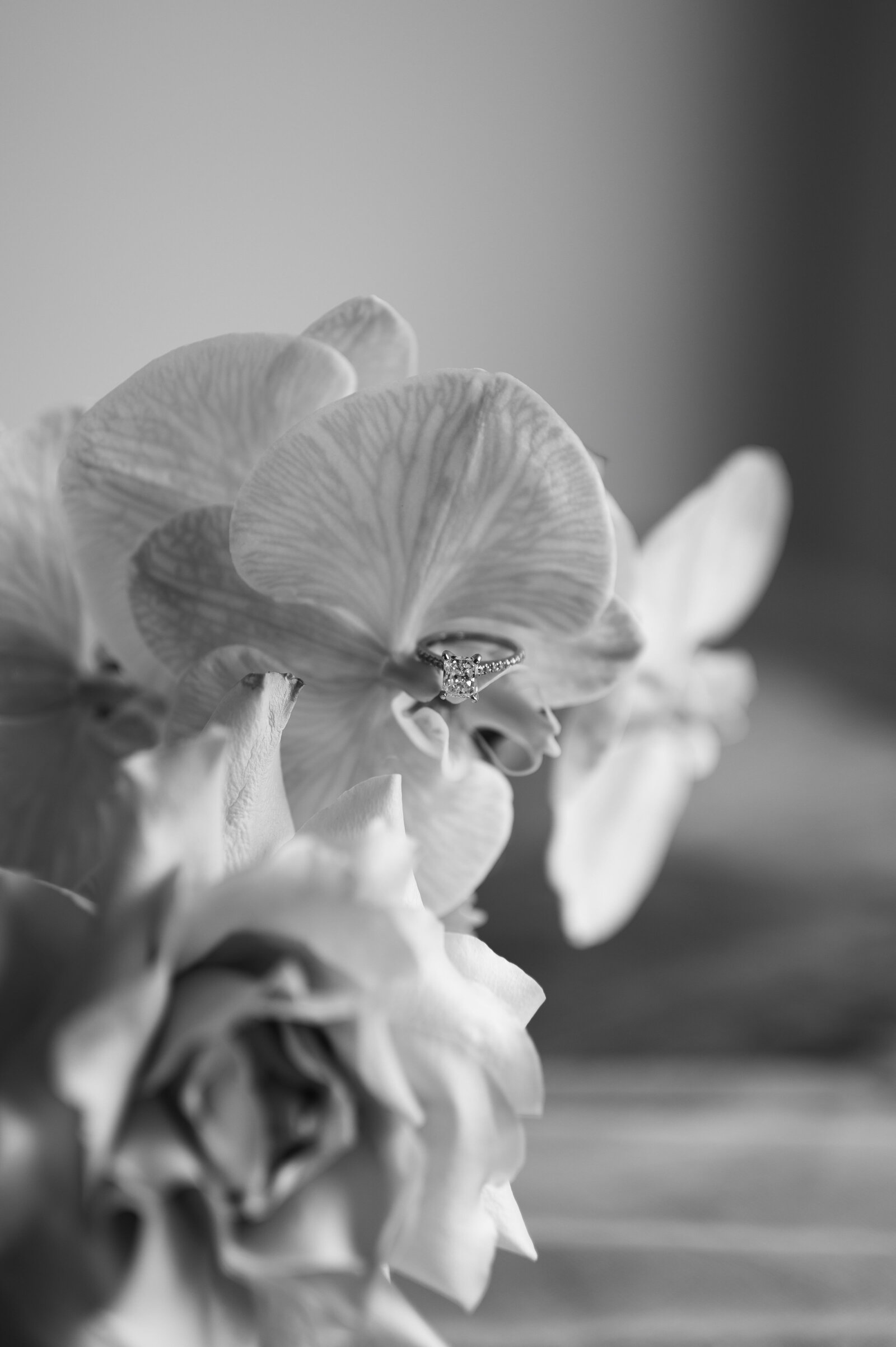 SneakPeek_0003