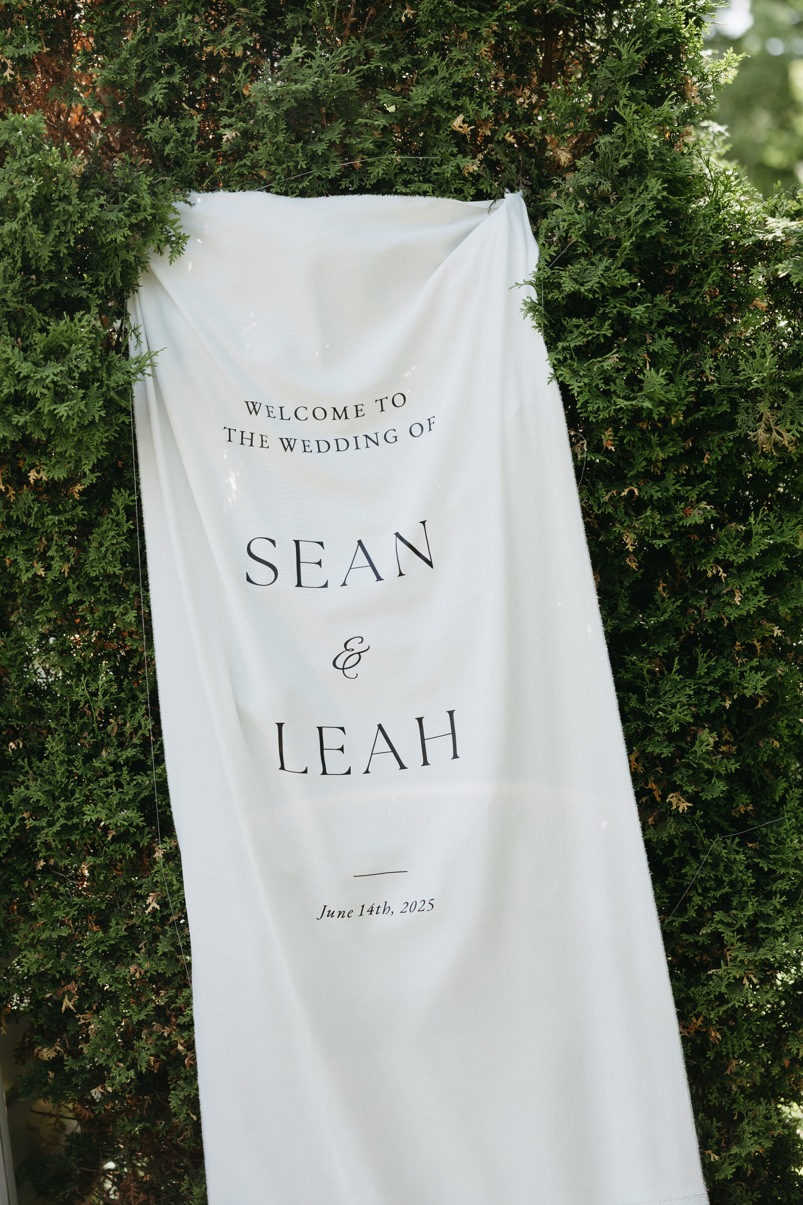 Leah & Sean's Wedding - Lance Photography 321