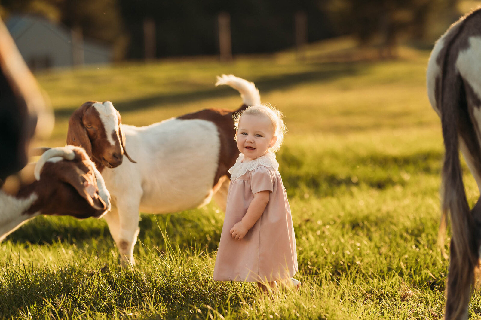 East Texas Child Photographer-1-2