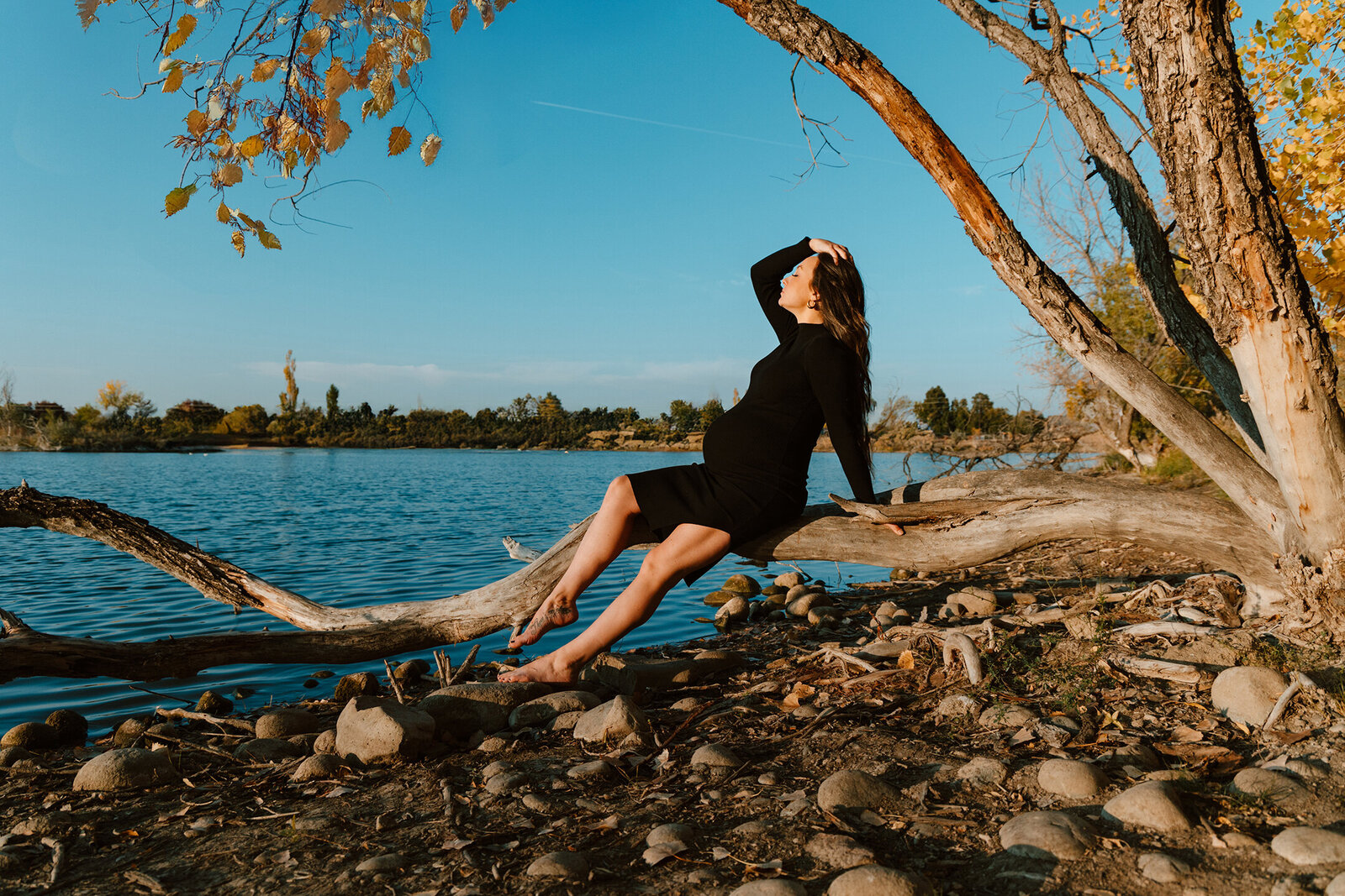 longmont-maternity-photographer