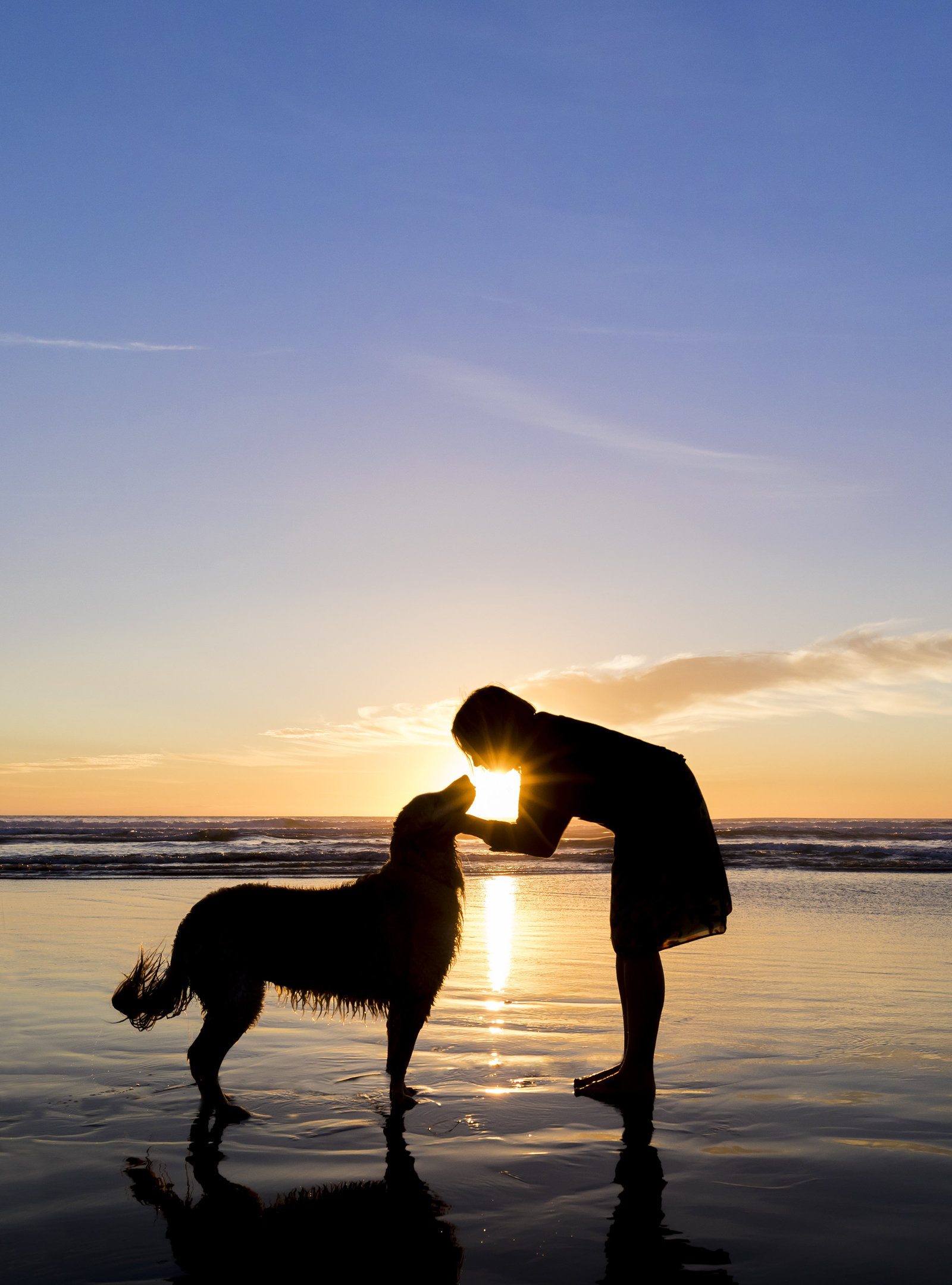 san diego pet family photographer 4
