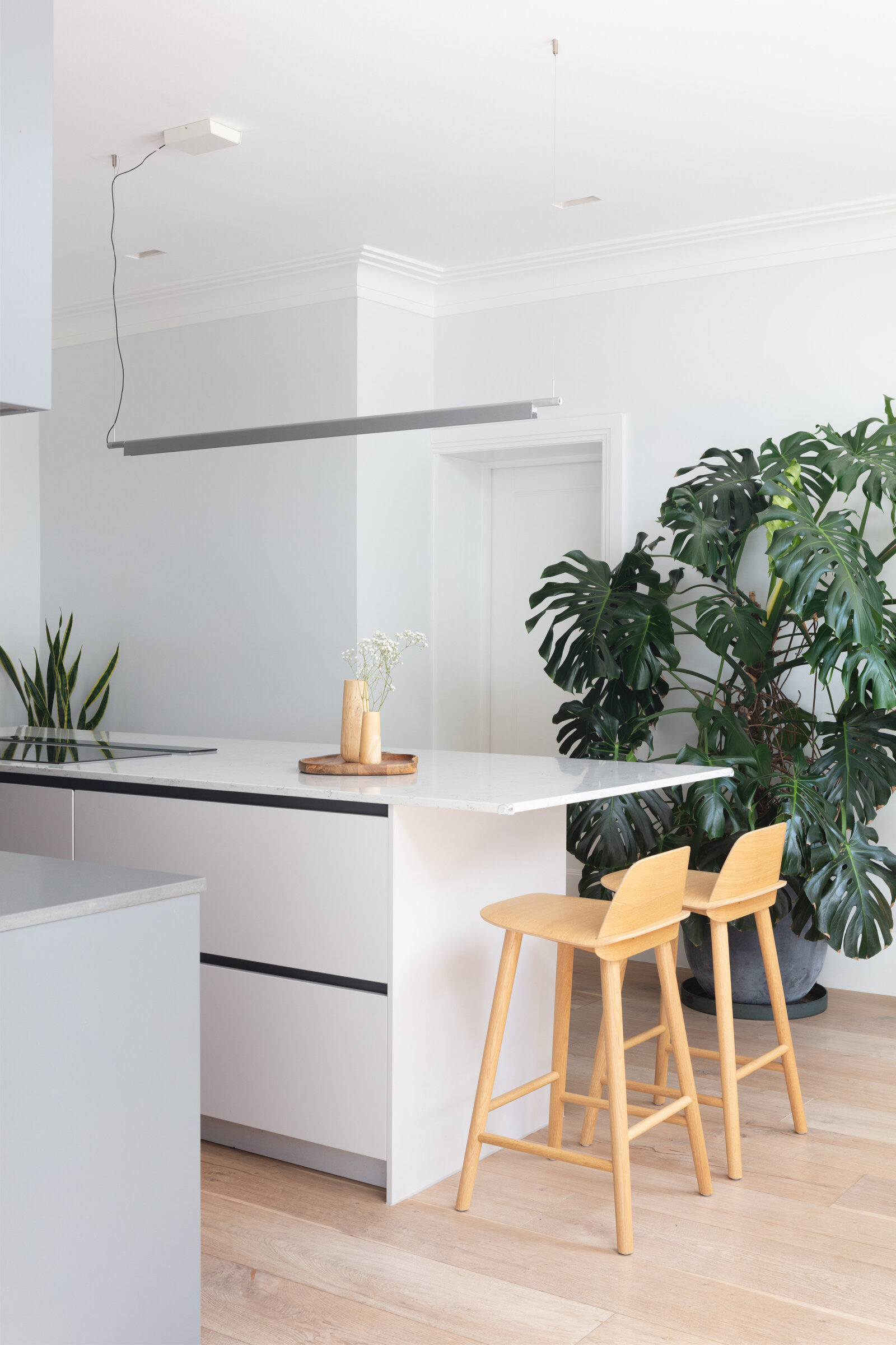 NathaliePriemPhotography-StudioGriz-MuswellHill-UploadSize-3