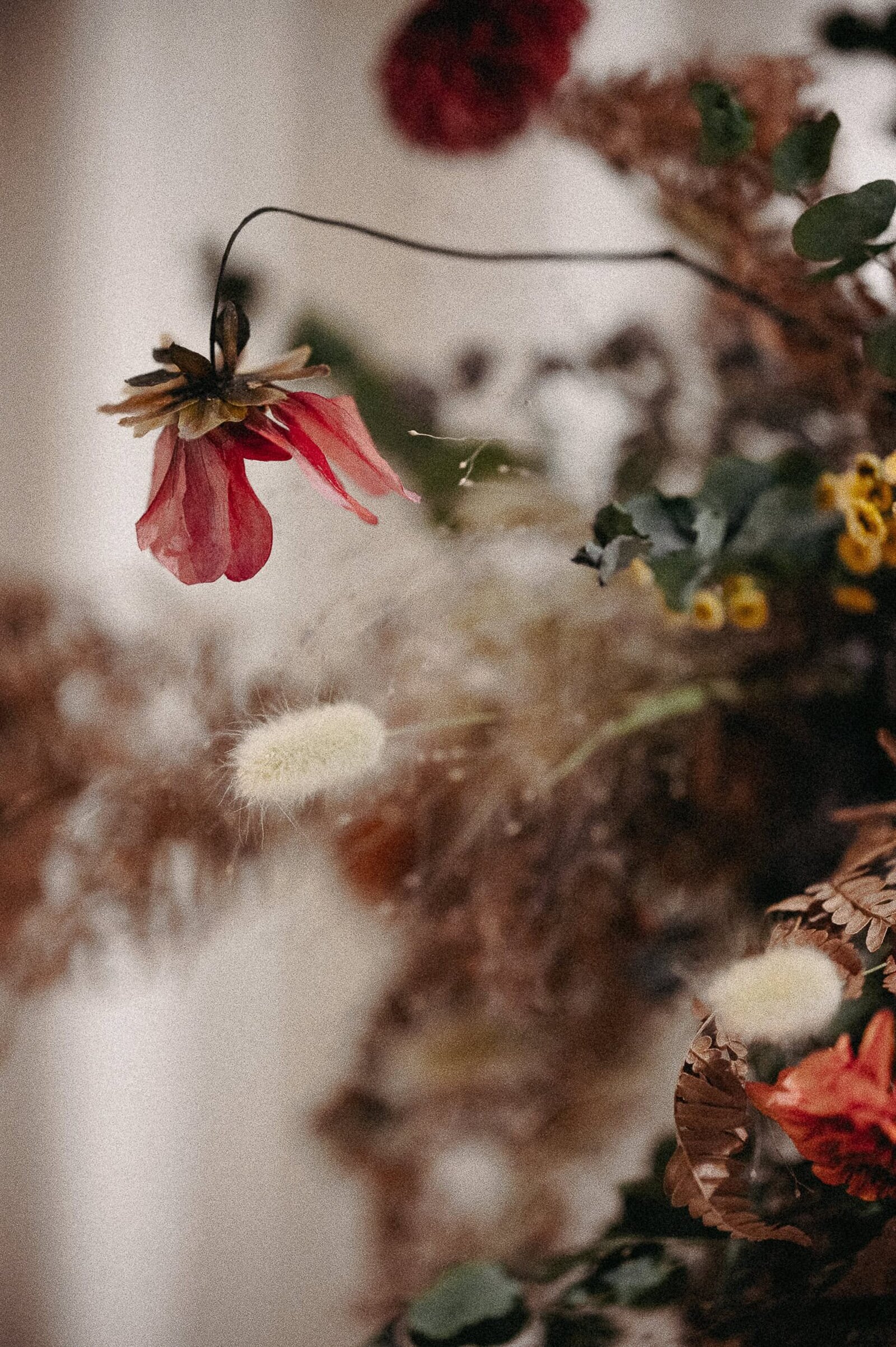 brudbukett med torkade blommor i brund och rött.