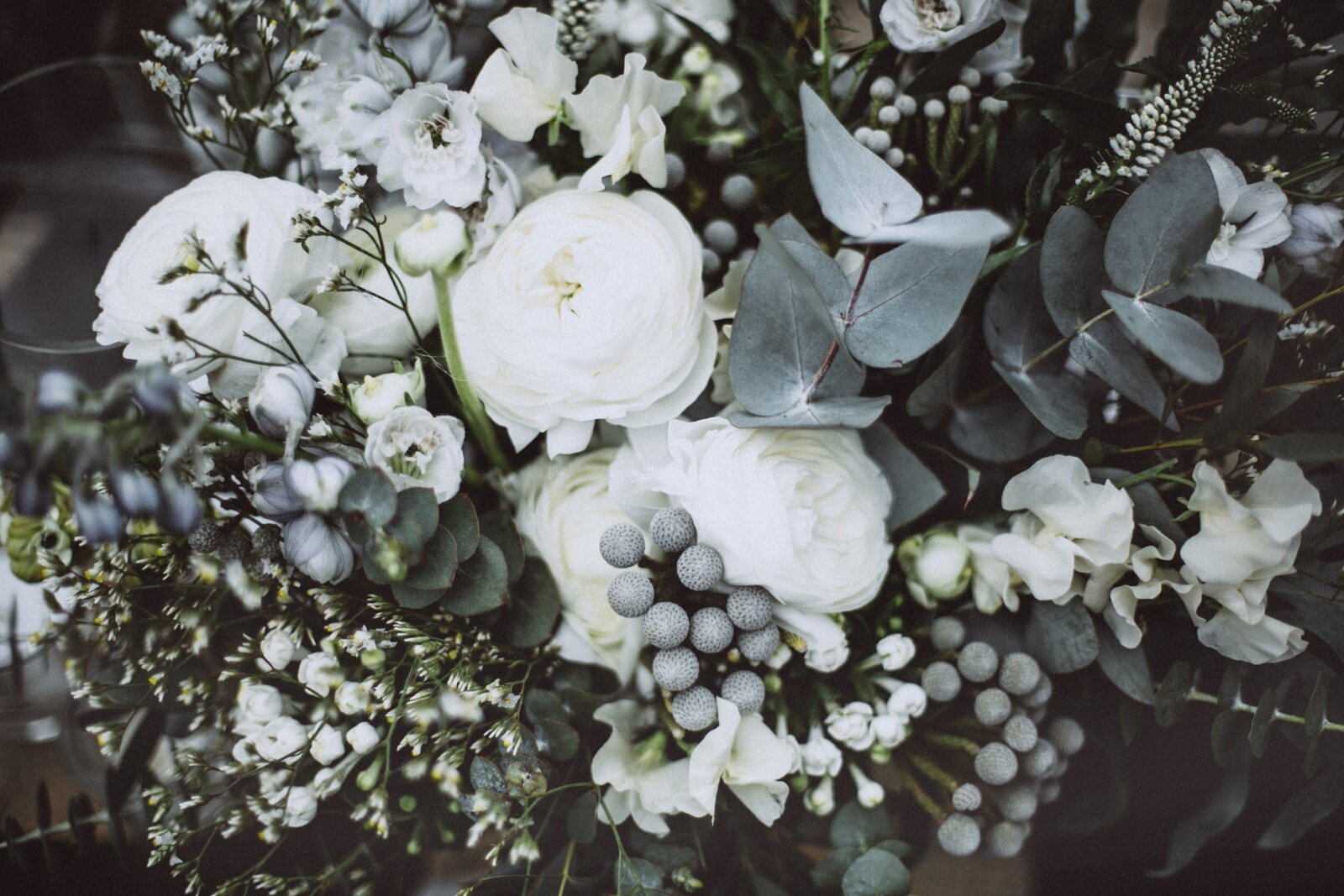 San Diego rustic wedding gallery