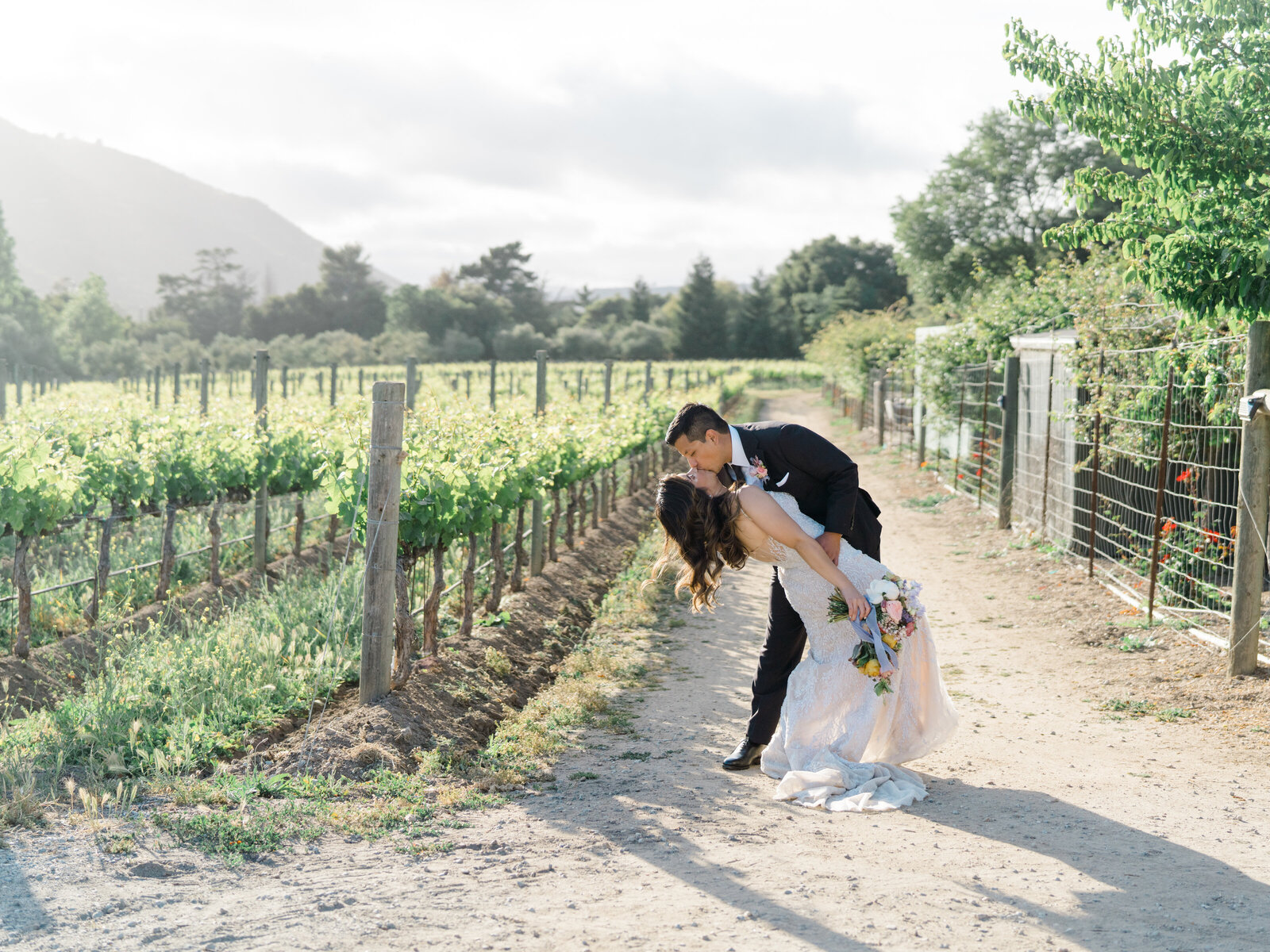 groom dipping bride and kissing her in a vineyard