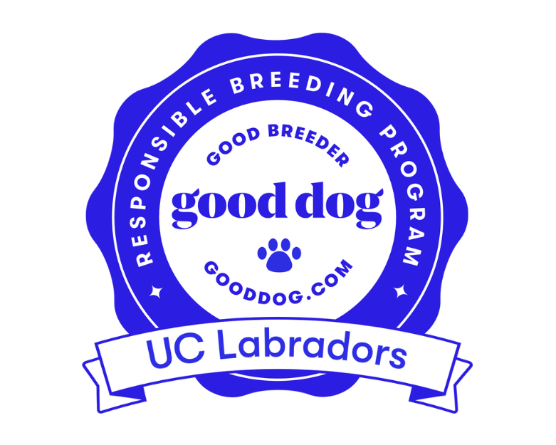 Good Dog Logo