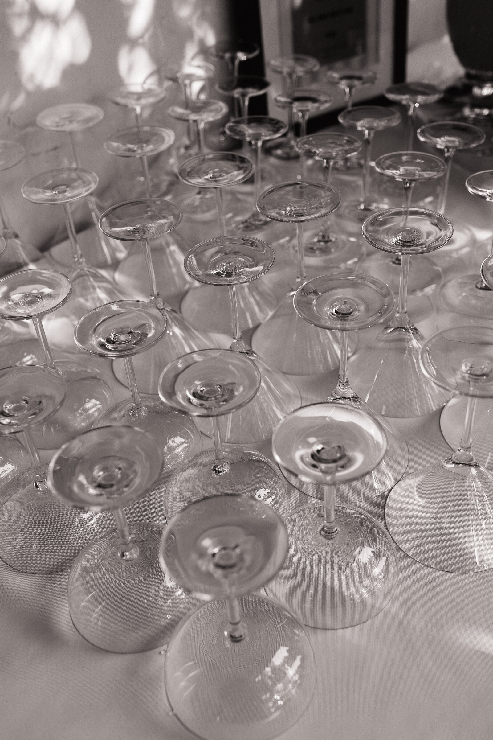 Detail photo of champagne glasses at Santa Barbara wedding reception